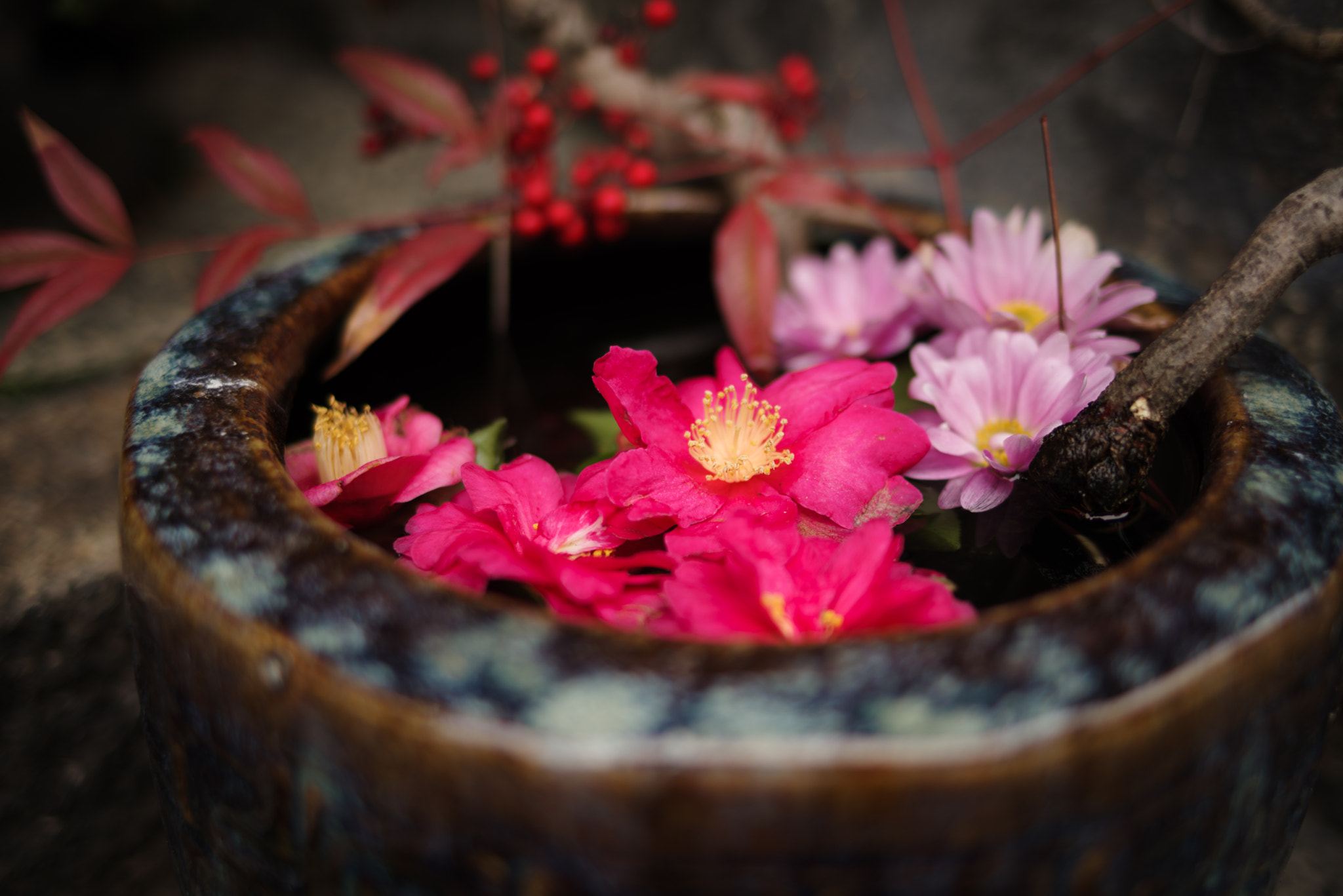 Pentax K-1 + Pentax smc FA 31mm F1.8 AL Limited sample photo. Flowers photography