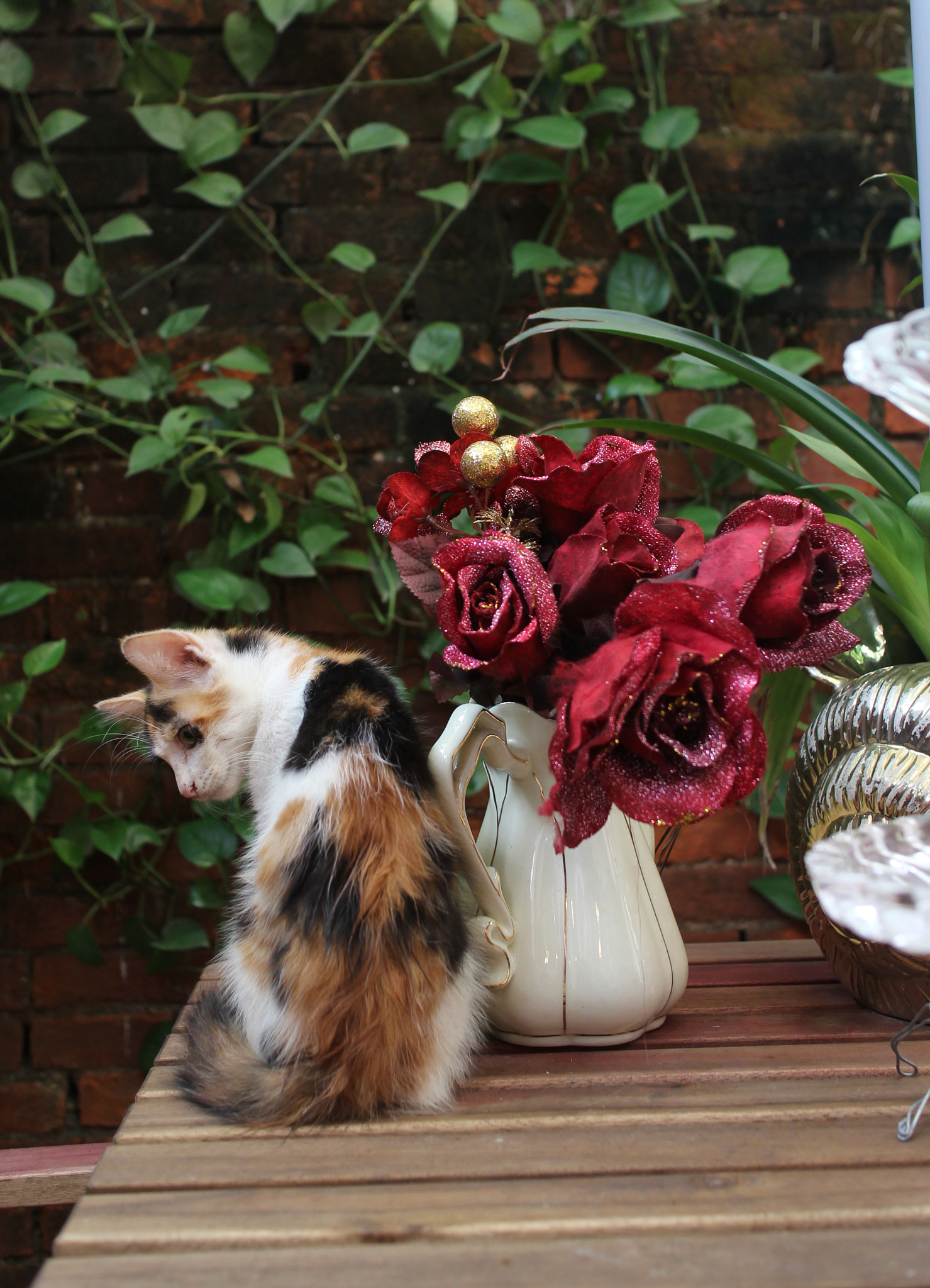 Canon EOS M2 sample photo. Img photography