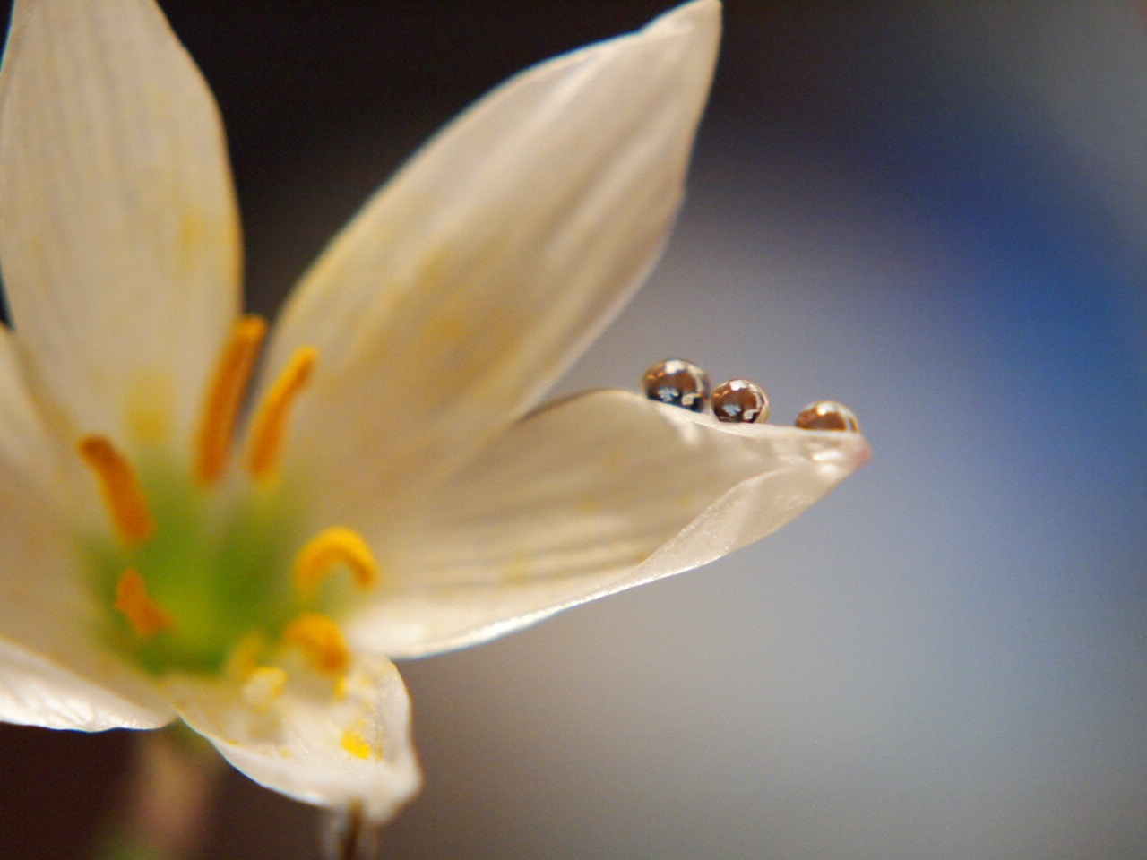 Olympus PEN E-PL2 sample photo. Sitting and dreaming photography