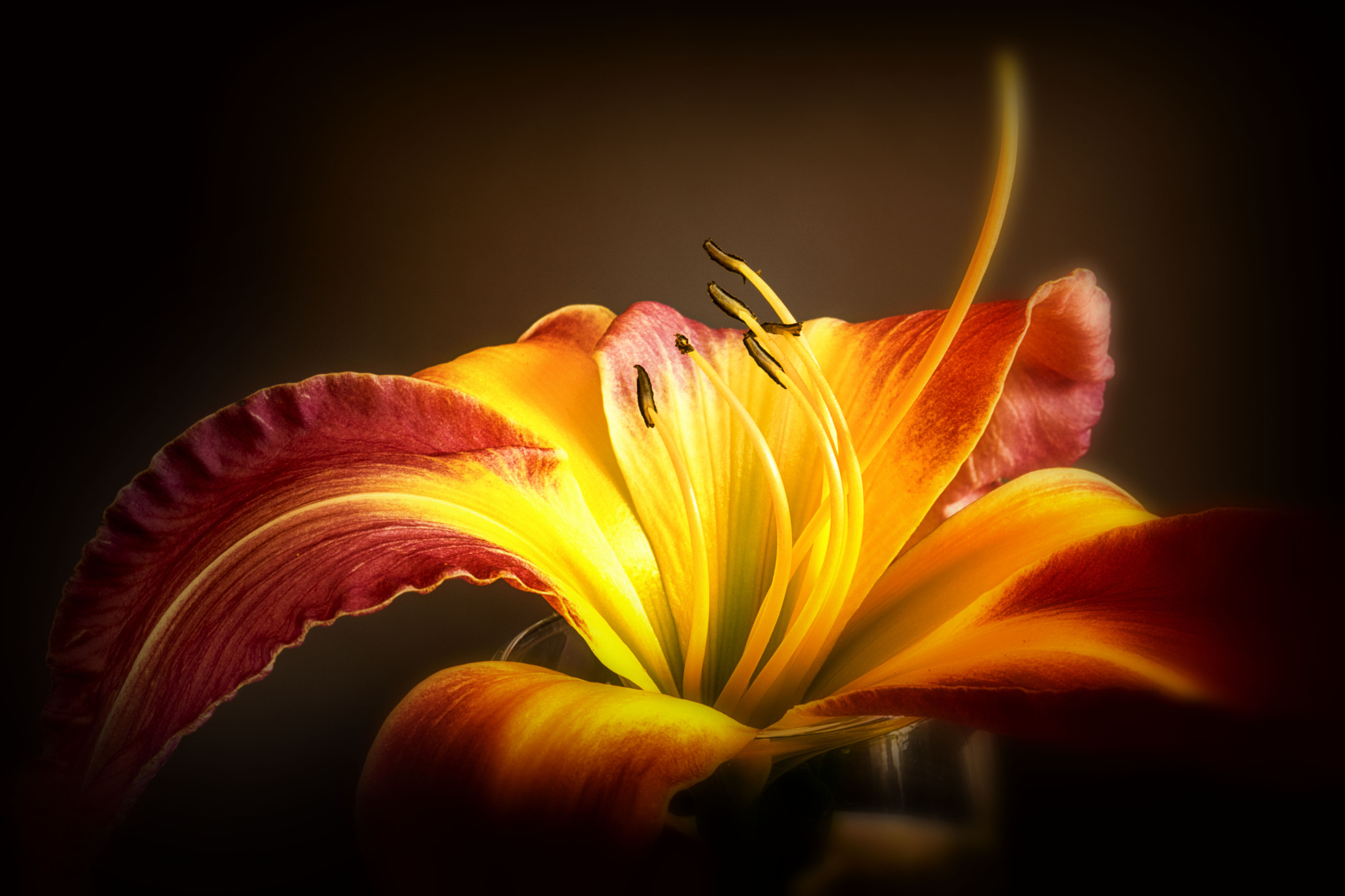 Canon EF 100mm F2.8 Macro USM sample photo. Img photography