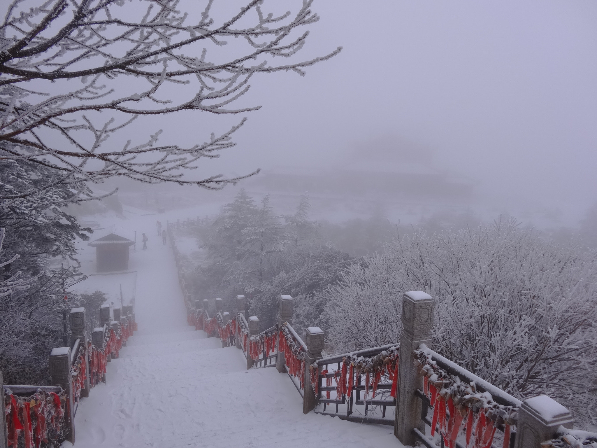 Sony DSC-HX30 sample photo. 雪·朦胧 photography