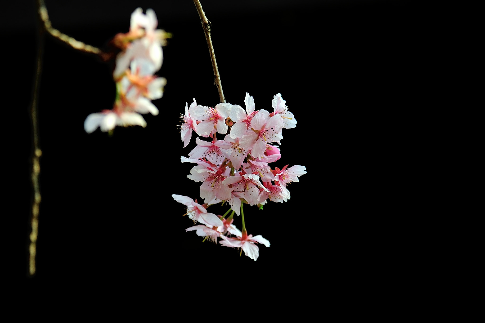 Nikon AF Nikkor 24-85mm F2.8-4D IF sample photo