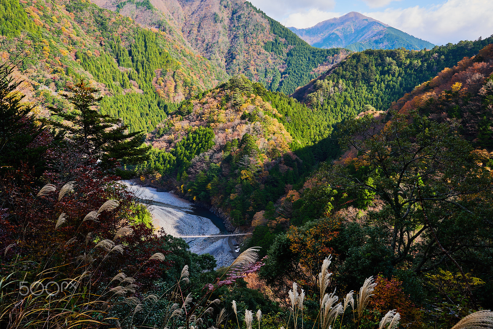 Nikon AF-S Nikkor 24-70mm F2.8G ED sample photo. Memories of autumn 'sumatakyo trekking' photography