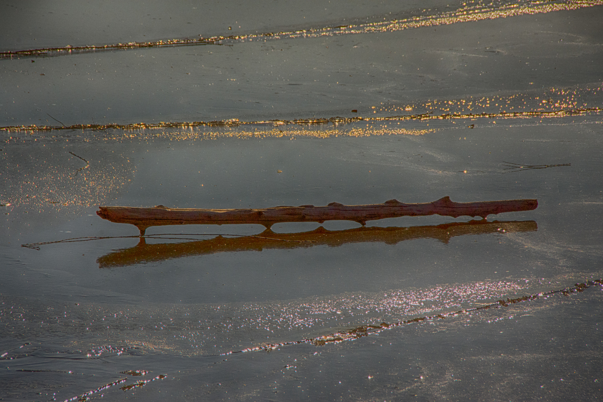 Sigma 18-250mm F3.5-6.3 DC Macro OS HSM sample photo. Keep your stick on the ice photography