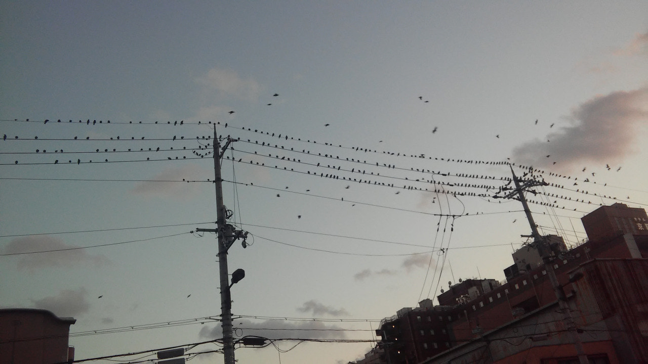 LG G3 S sample photo. Japan photography