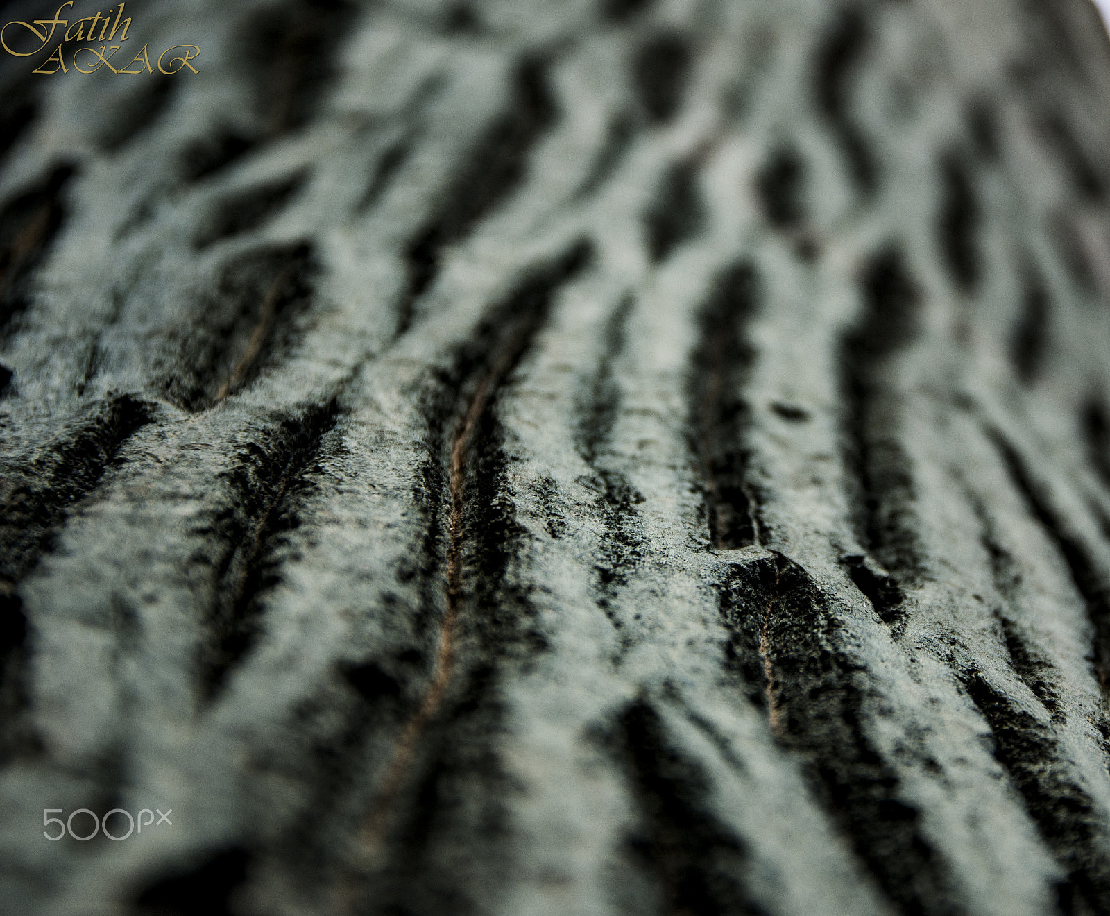 Sigma 17-70mm F2.8-4 DC Macro OS HSM | C sample photo. #### photography