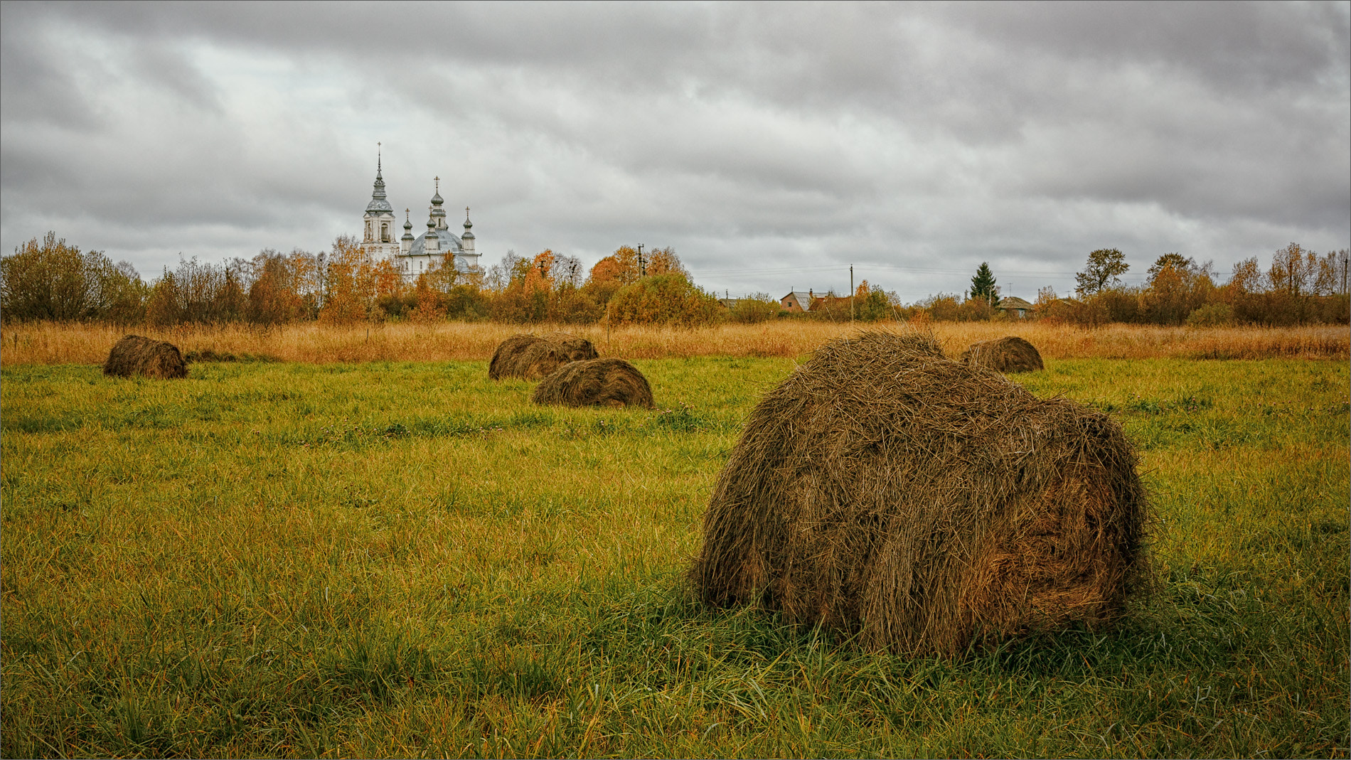 Canon EOS 450D (EOS Rebel XSi / EOS Kiss X2) sample photo. Autumn, cloudy day... photography