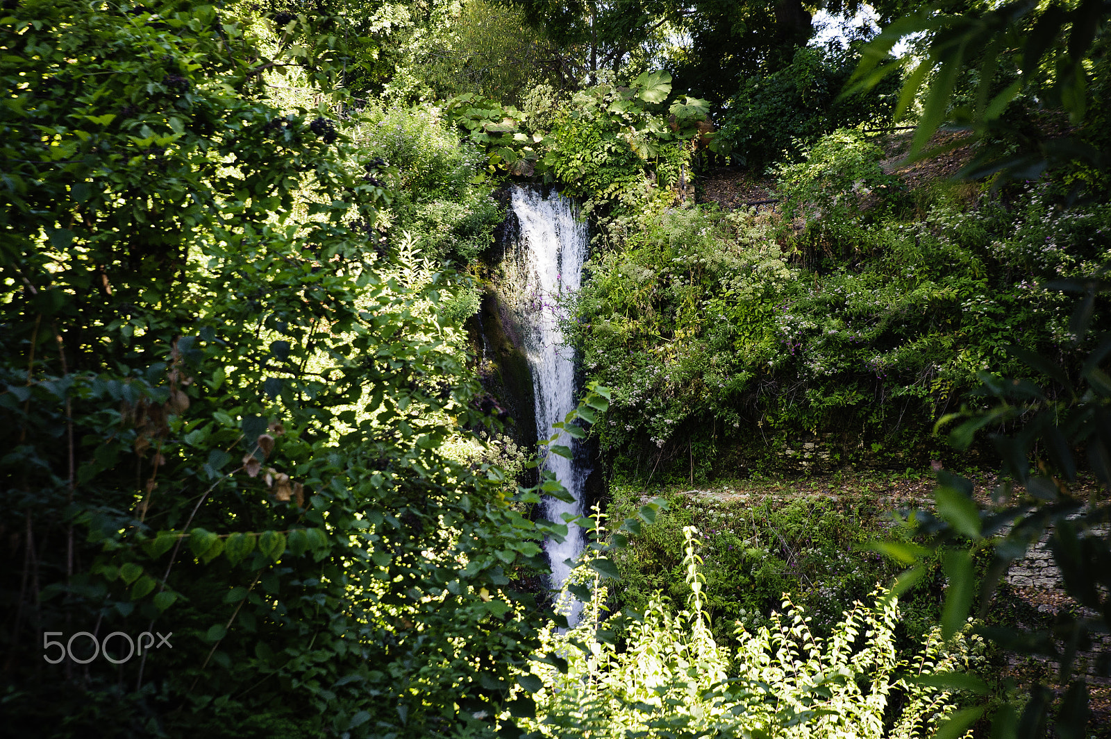 Nikon D700 sample photo. Natural spot. cascade between the green vegetation photography