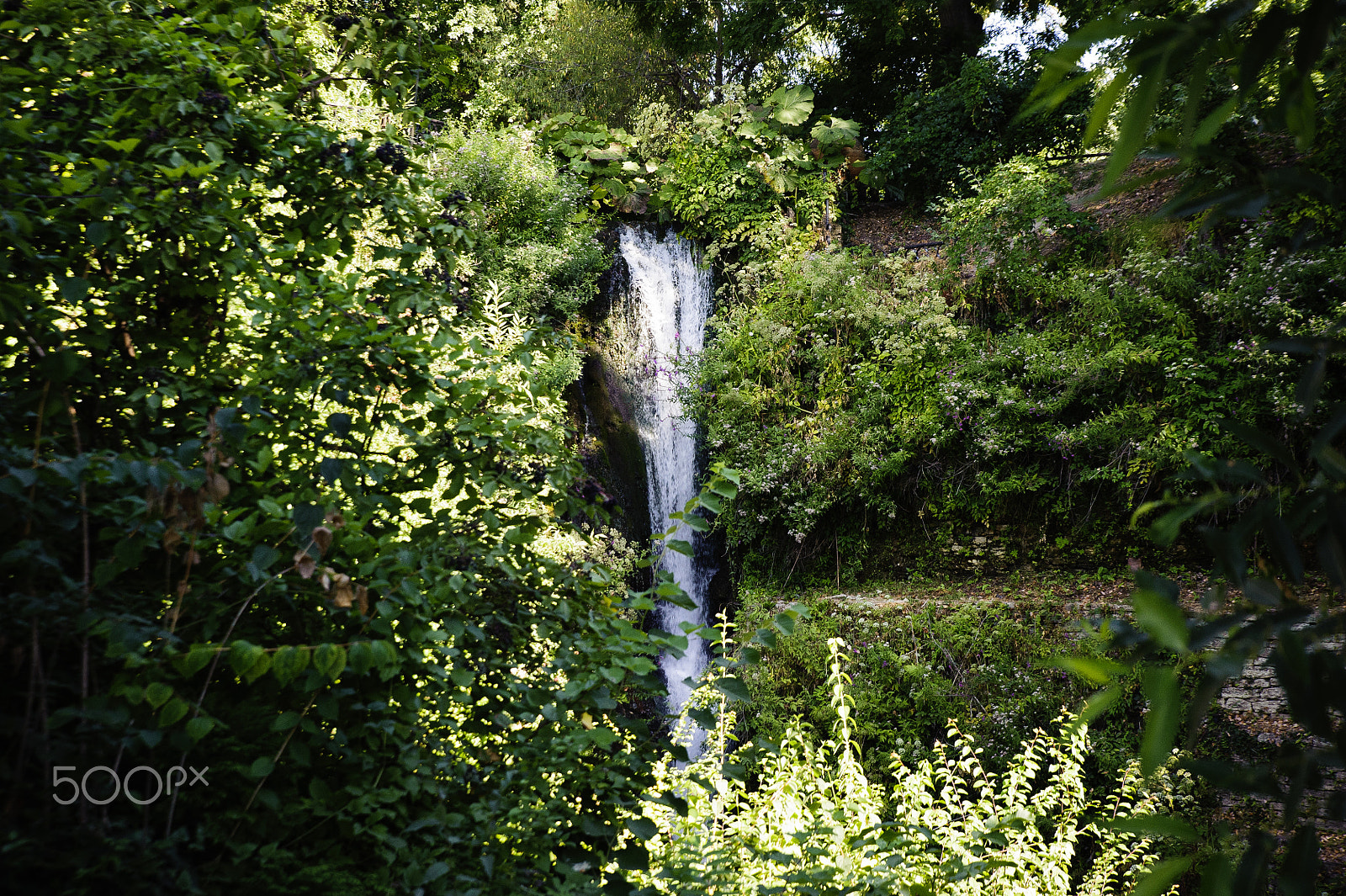 Tamron SP 24-70mm F2.8 Di VC USD sample photo. Natural spot. cascade between the green vegetation photography