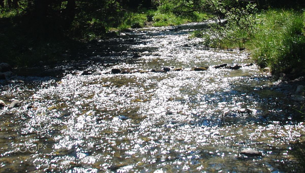 Nikon D80 sample photo. Ruscello in montagna photography