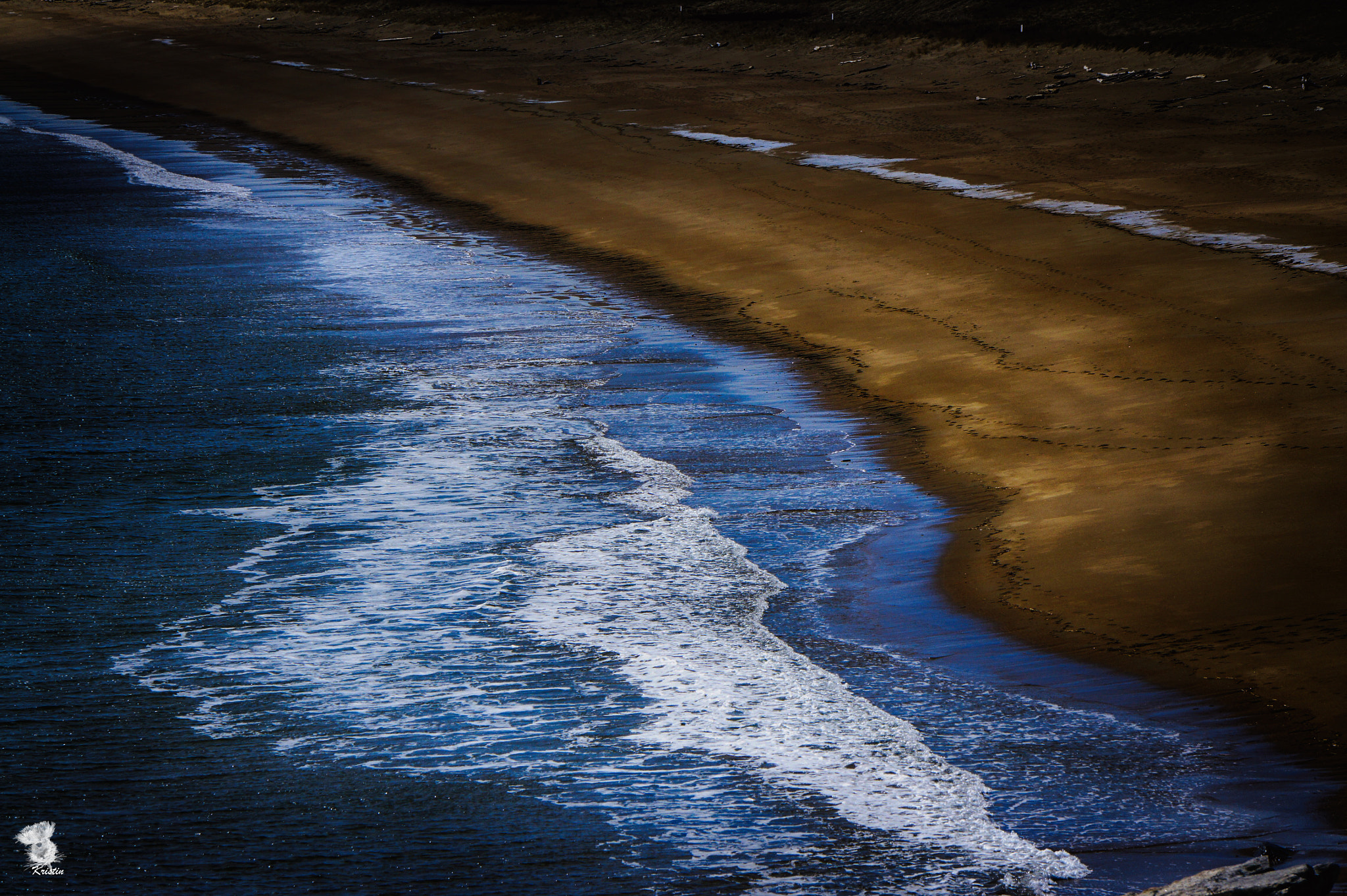 Sony E 55-210mm F4.5-6.3 OSS sample photo. Reid state park photography