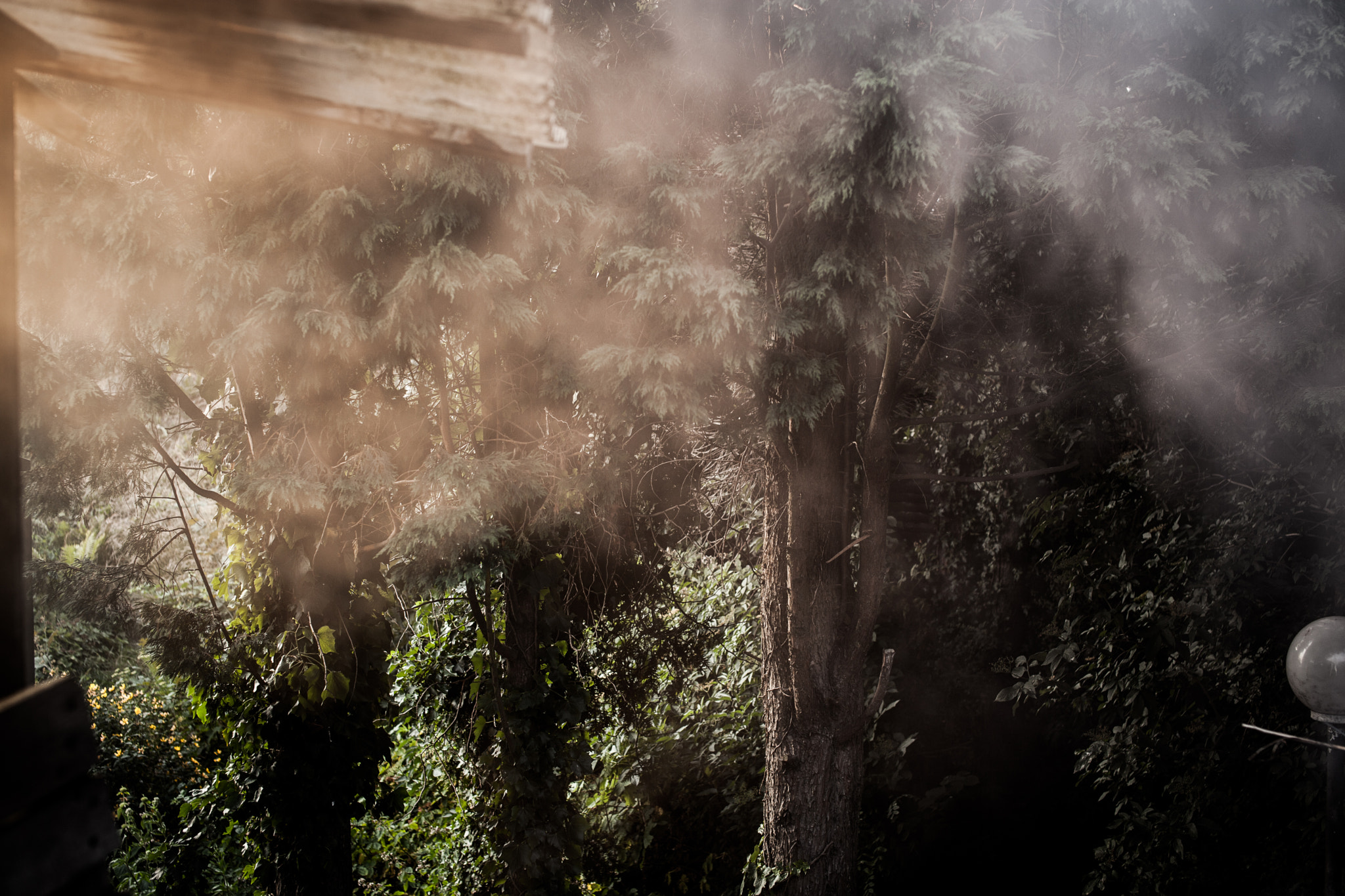 Sigma 50mm F1.4 EX DG HSM sample photo. Smoke textures photography