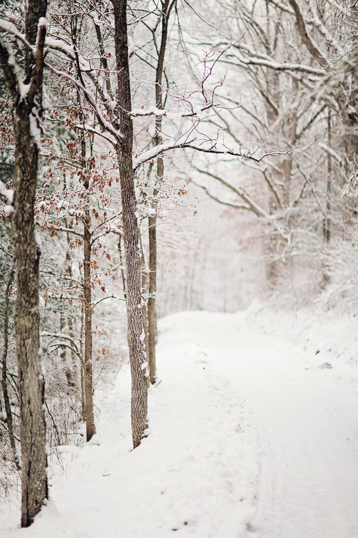 Canon EOS 5D Mark II sample photo. Winter walk photography