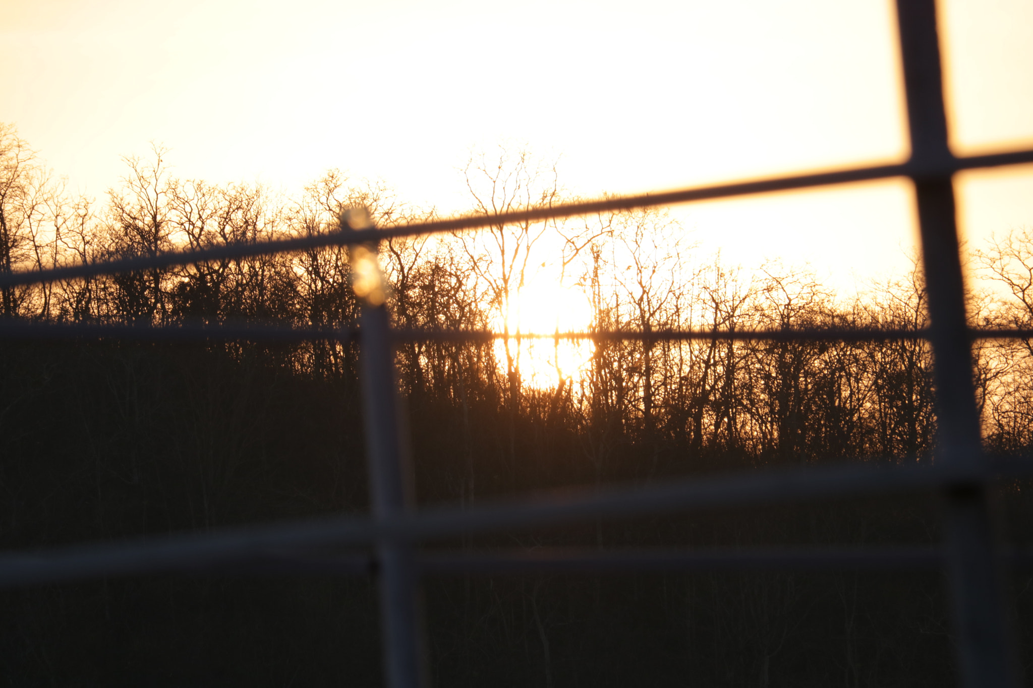 Canon EF-S 55-250mm F4-5.6 IS STM sample photo