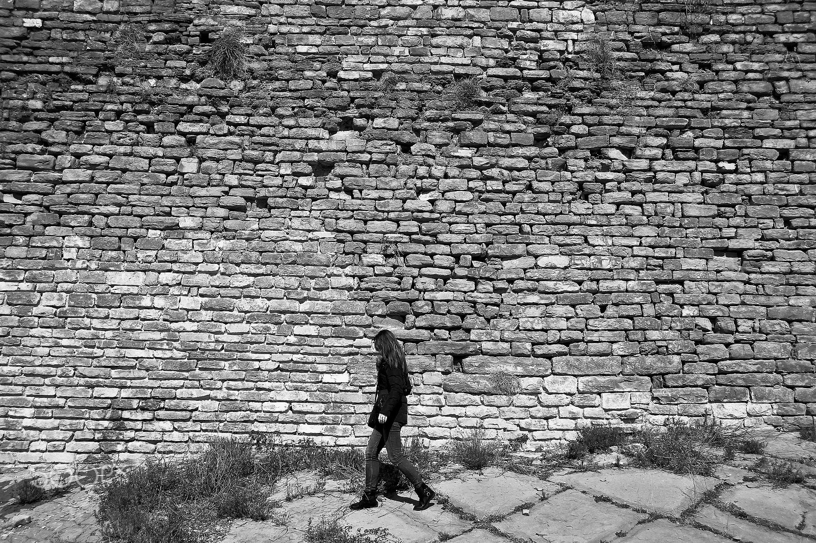 Sigma 18-250mm F3.5-6.3 DC OS HSM sample photo. The wall photography