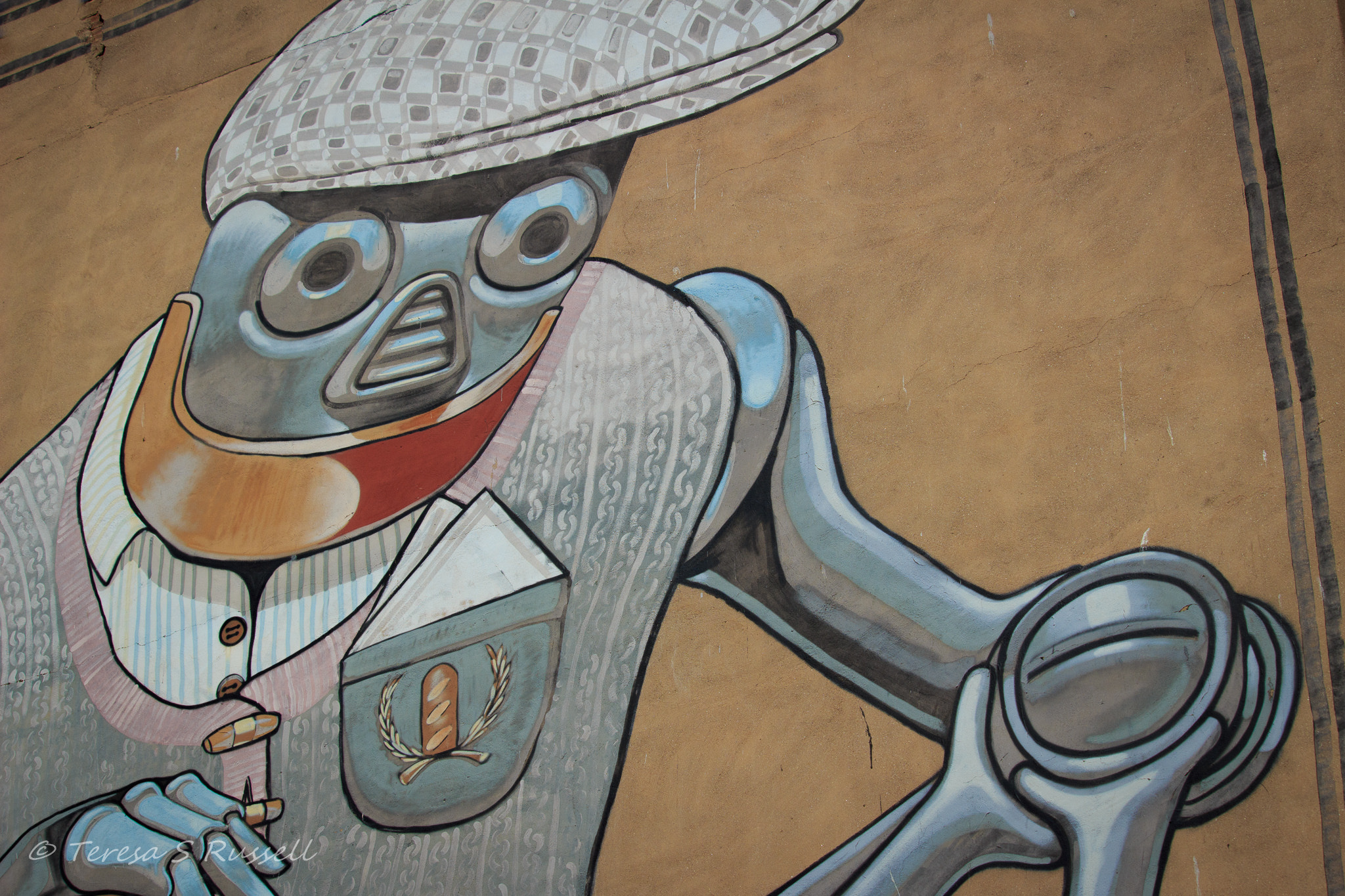 Canon EF-S 55-250mm F4-5.6 IS STM sample photo. Street art. photography