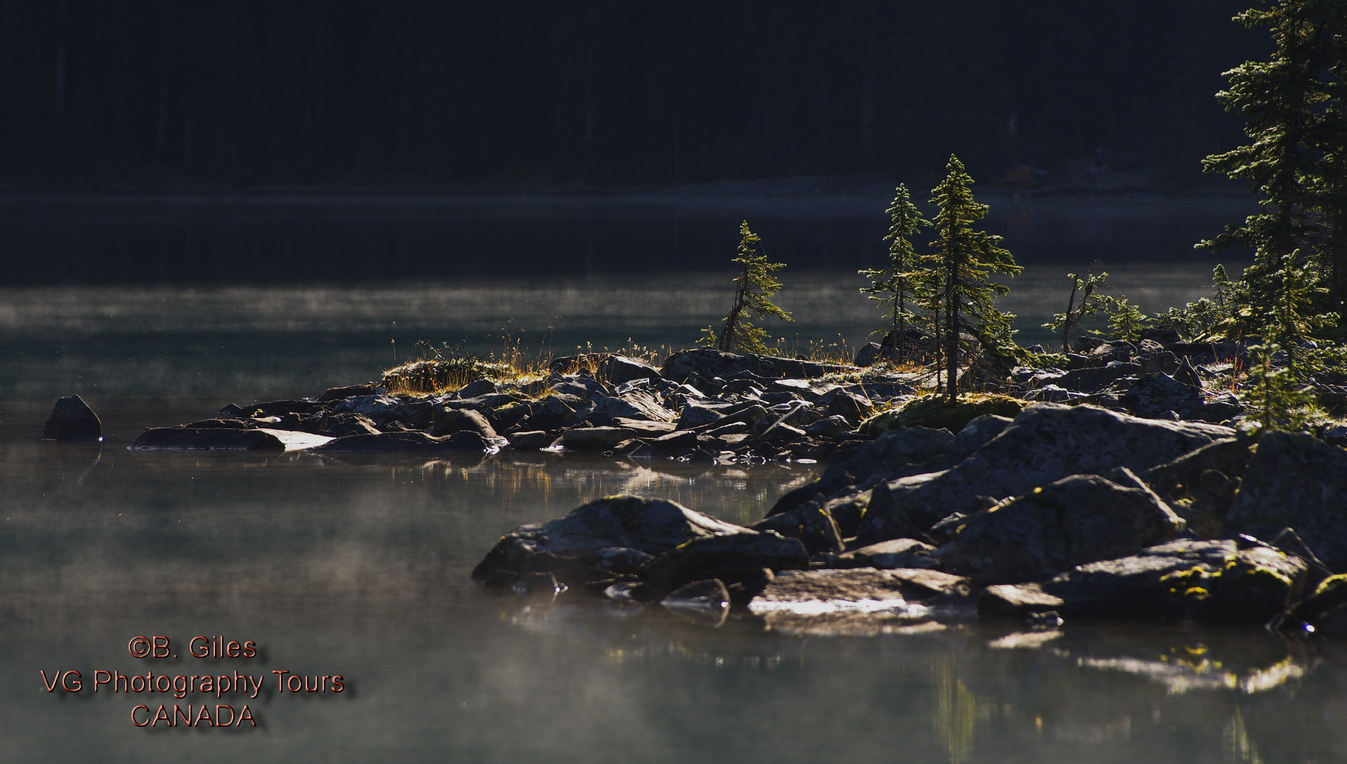 Pentax smc DA* 60-250mm F4.0 ED (IF) SDM sample photo. Morning mist photography