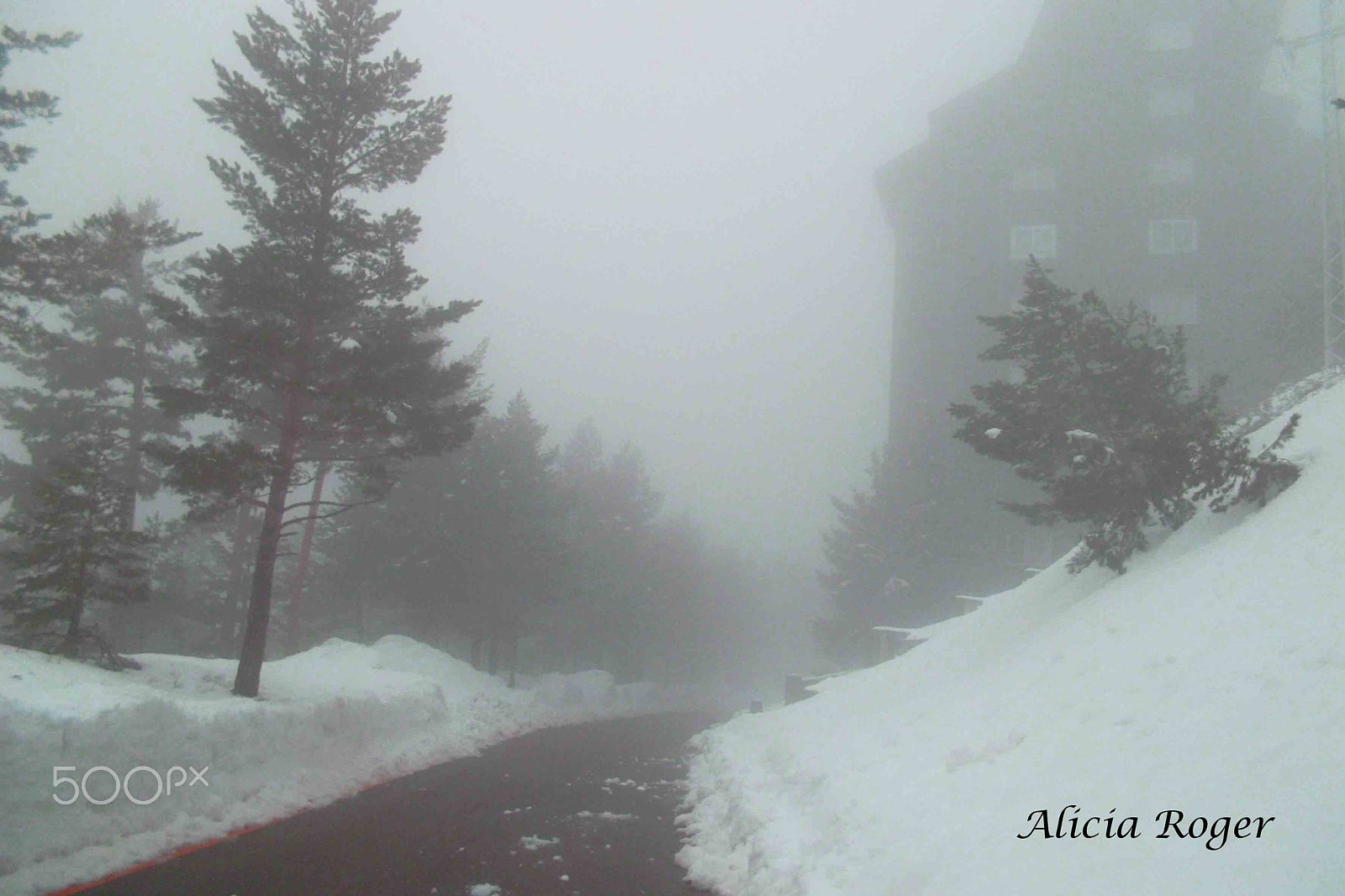 Samsung ST30 sample photo. Fog & snow photography
