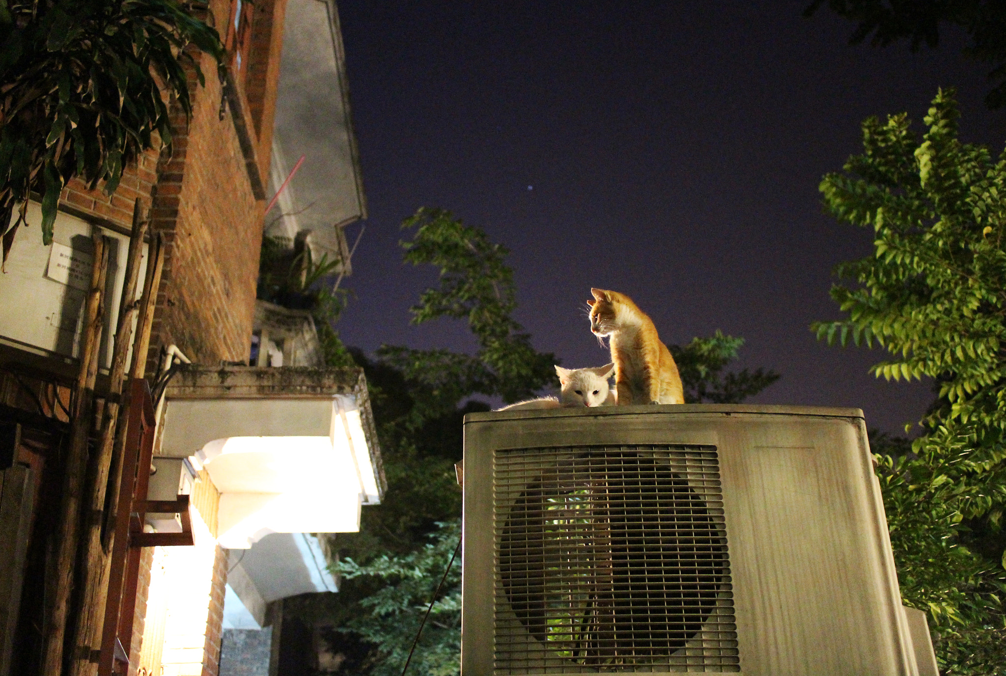 Canon EOS M2 sample photo. Img photography