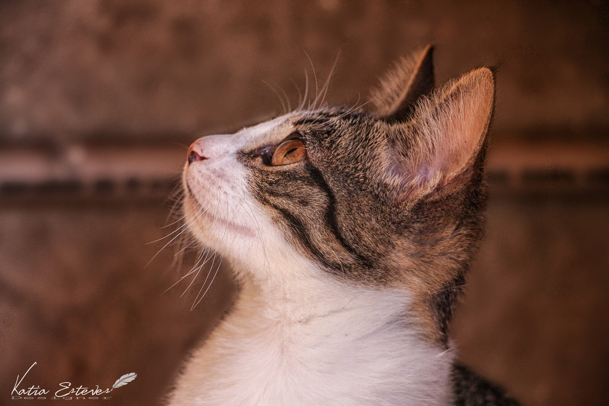 Canon EOS 40D sample photo. Img photography