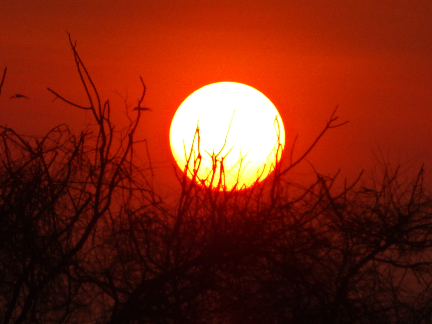 Sony Cyber-shot DSC-WX300 sample photo. Good evening  photography