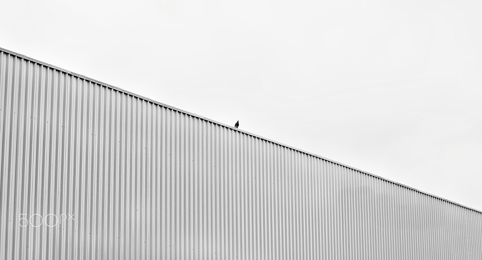 Sony E 18-55mm F3.5-5.6 OSS sample photo. Here's my angle photography
