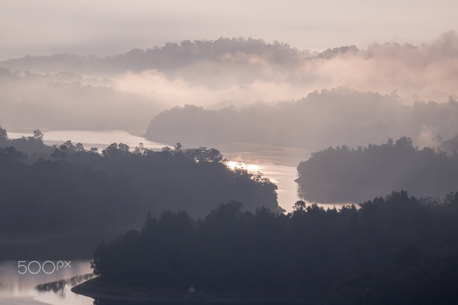 Canon EOS 760D (EOS Rebel T6s / EOS 8000D) sample photo. Foggy view around the trees photography