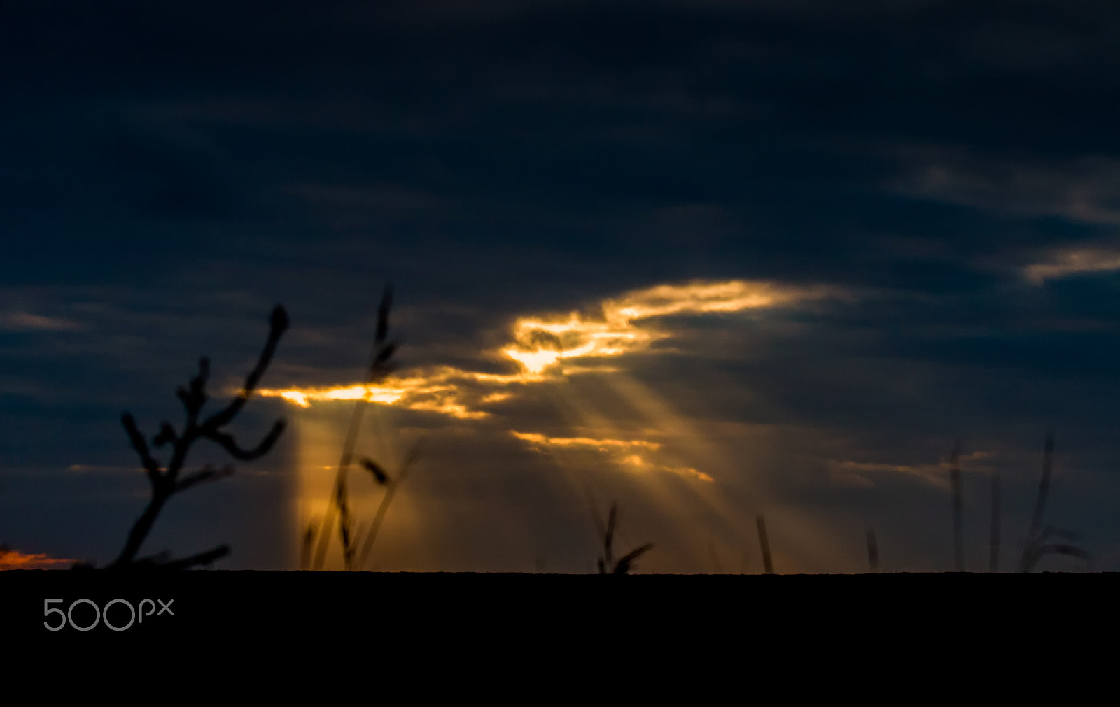 Canon EOS 70D + Canon EF 70-200mm F4L USM sample photo. Baltic sunburst photography