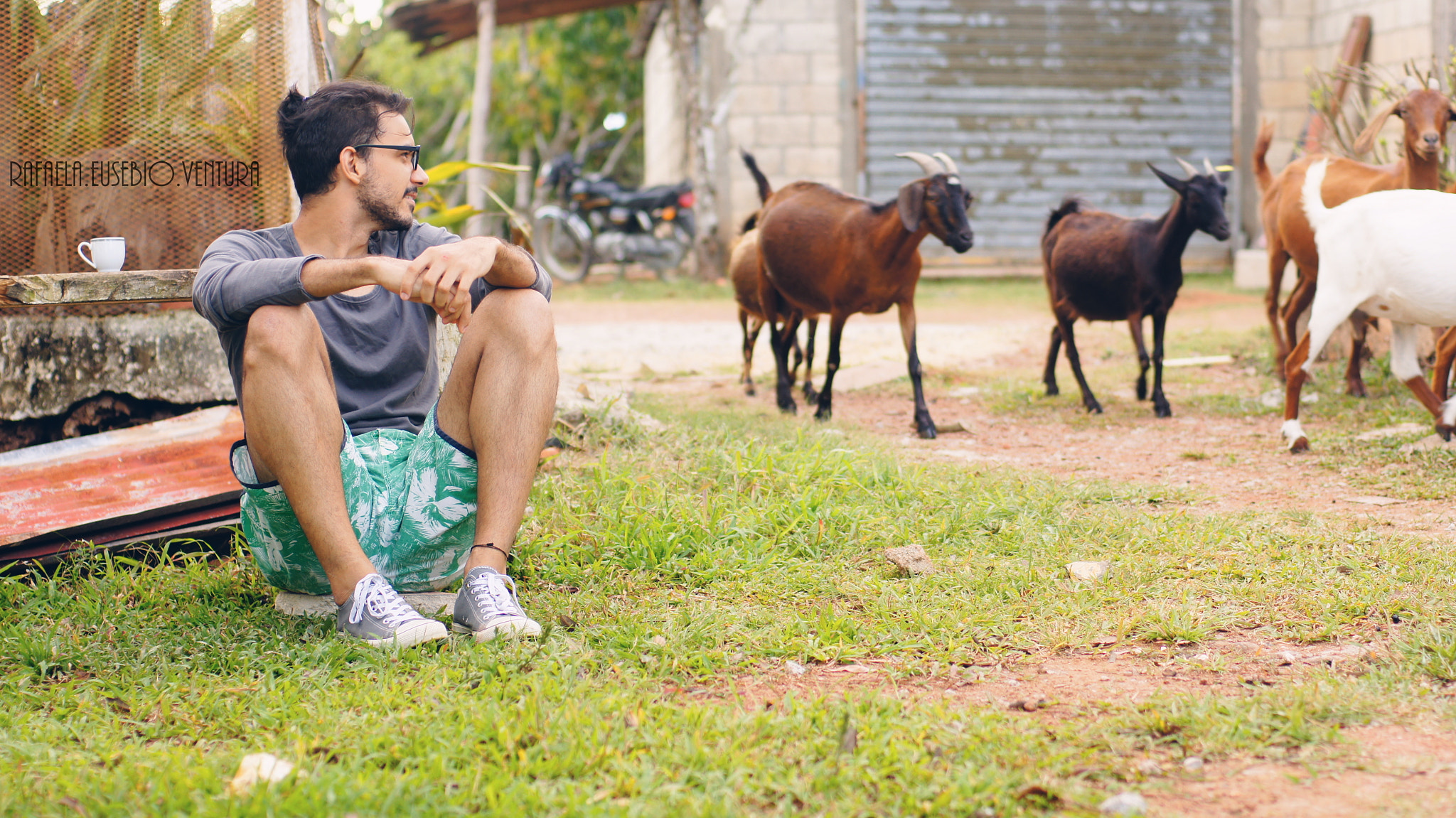 Sony SLT-A55 (SLT-A55V) + Sony 50mm F1.4 sample photo. A herd of goats and a man in awe photography