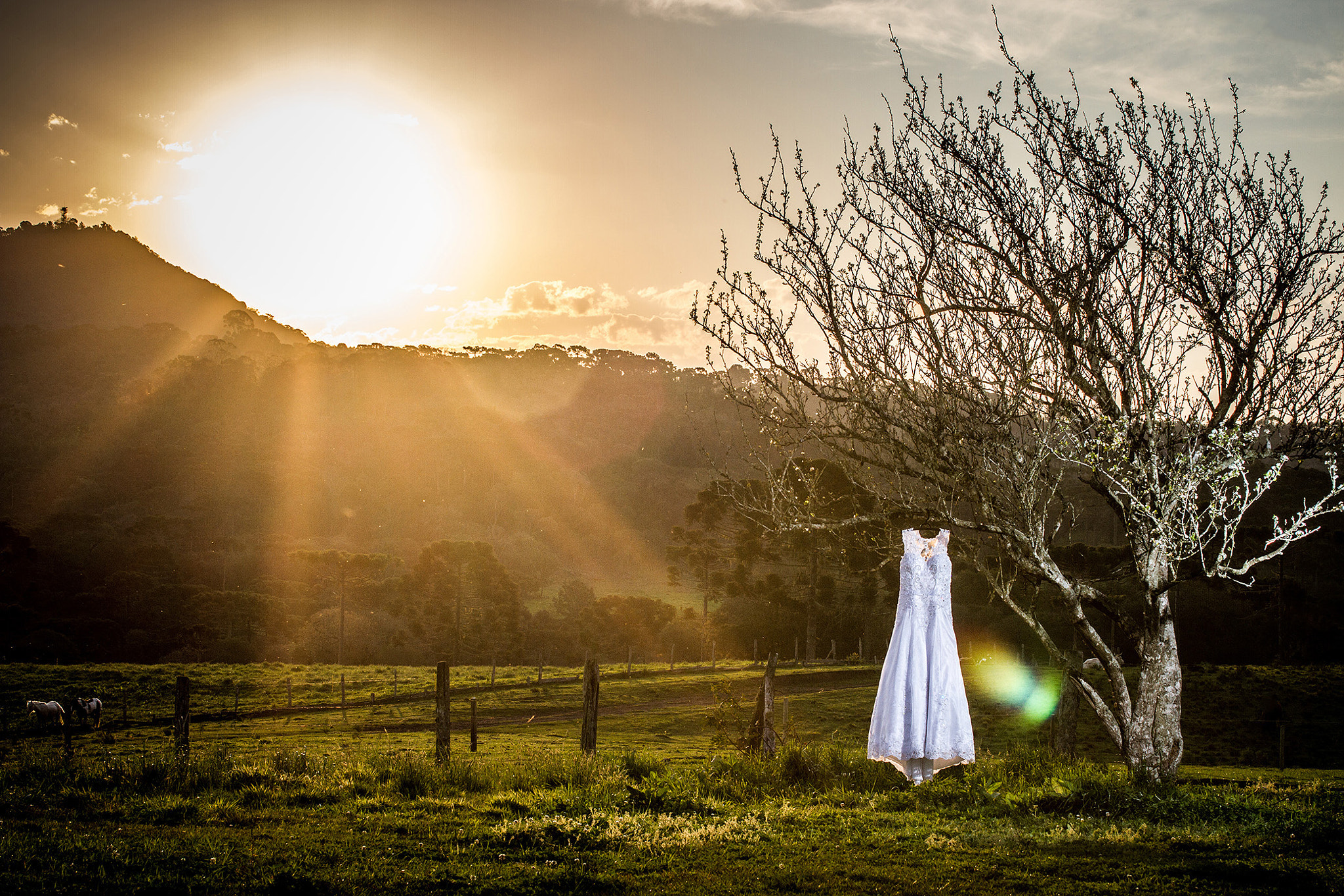 Sigma 50mm F1.4 EX DG HSM sample photo. O vestido da noiva e a serra catarinense... photography