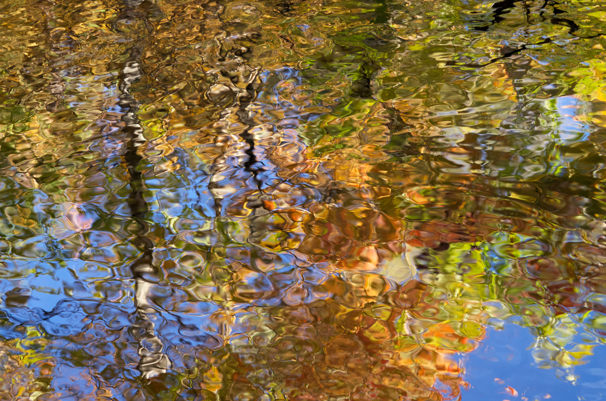 Pentax K-5 II + smc PENTAX-FA Macro 100mm F2.8 sample photo. Fall reflection (2014) photography