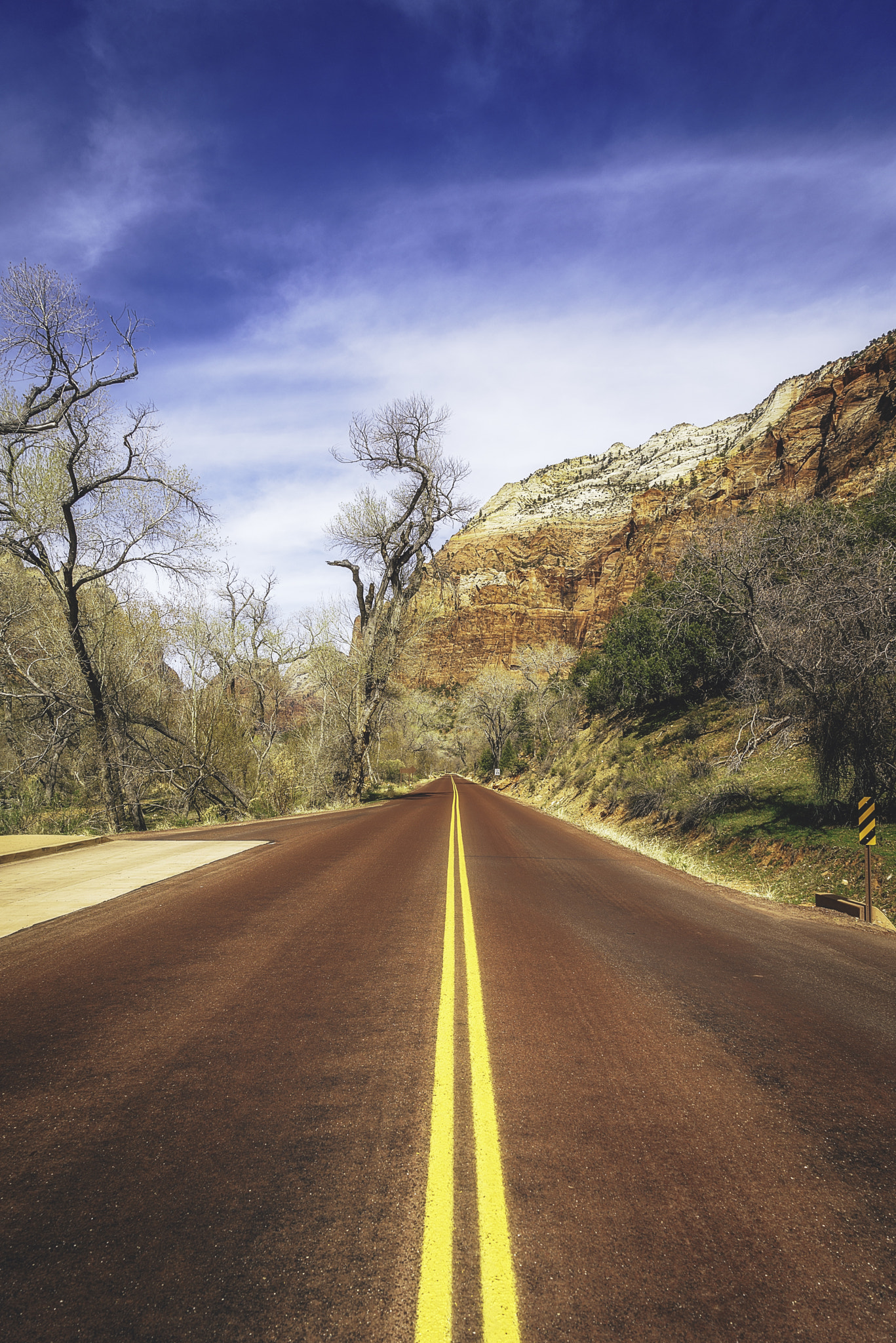 Sony a7R + Sony Vario Tessar T* FE 24-70mm F4 ZA OSS sample photo. Zion national park xvi photography
