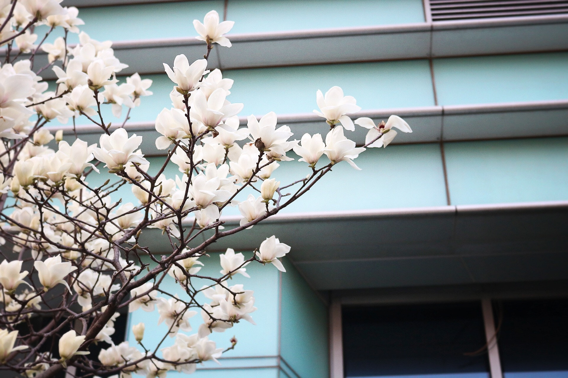 Canon EOS 760D (EOS Rebel T6s / EOS 8000D) sample photo