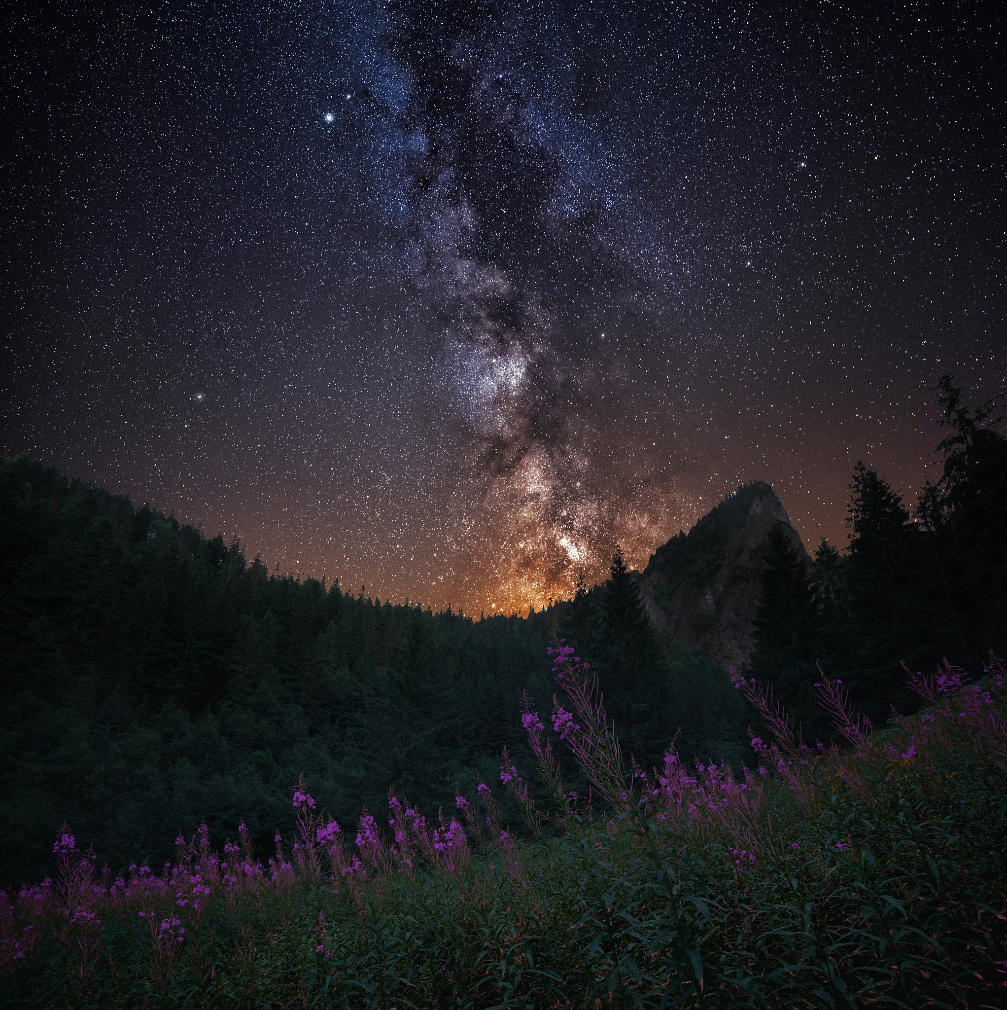 Canon EF 28-80mm f/3.5-5.6 sample photo. Tatras meadows photography