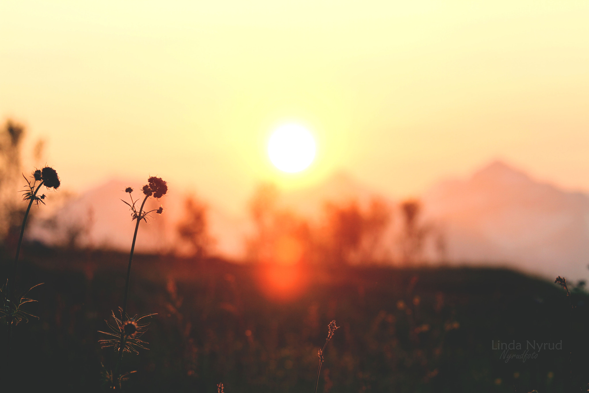 Canon EOS 7D + Canon EF 70-200mm F4L IS USM sample photo. Tribute to the midnight sun photography