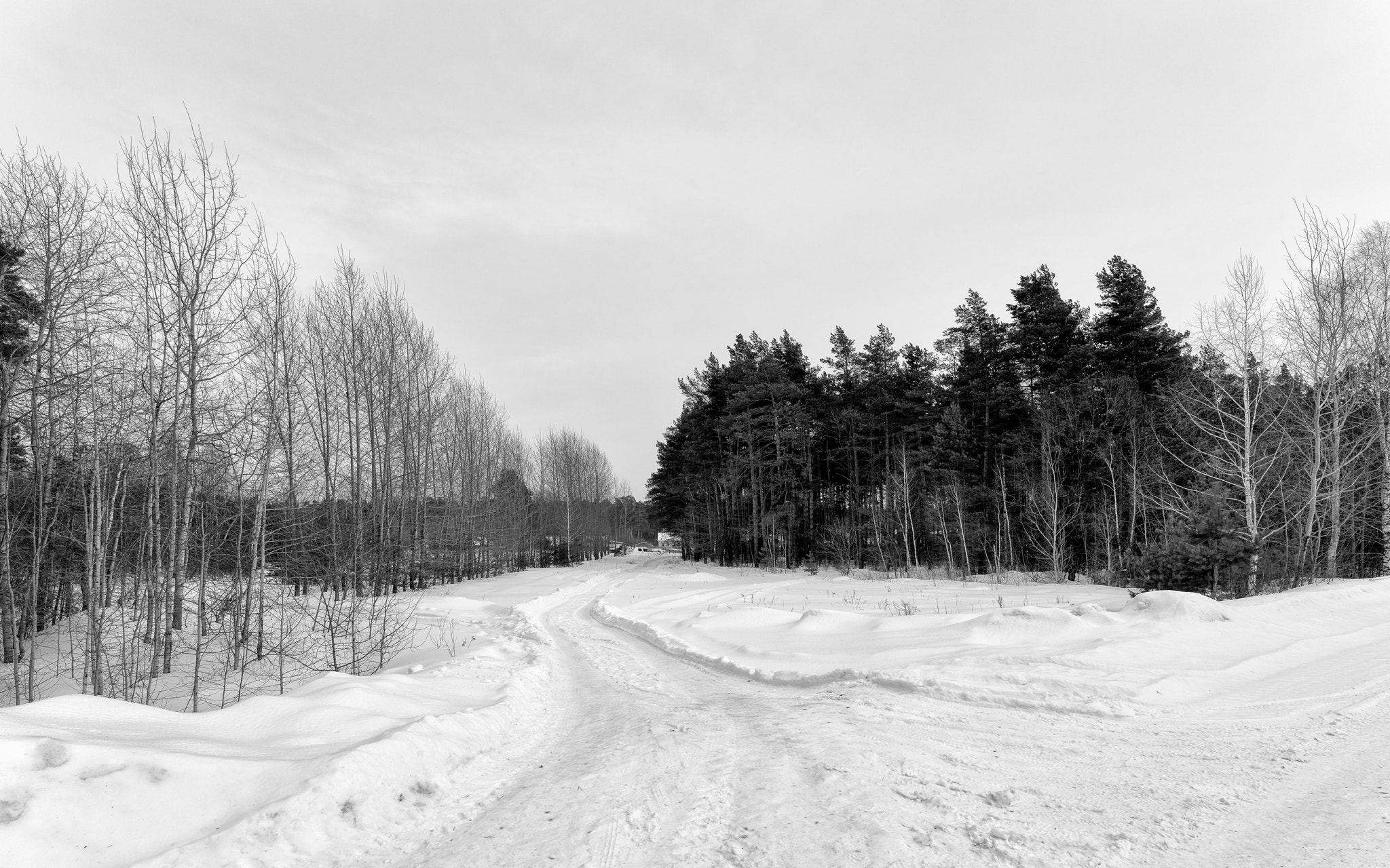 ZEISS Batis 18mm F2.8 sample photo. * photography