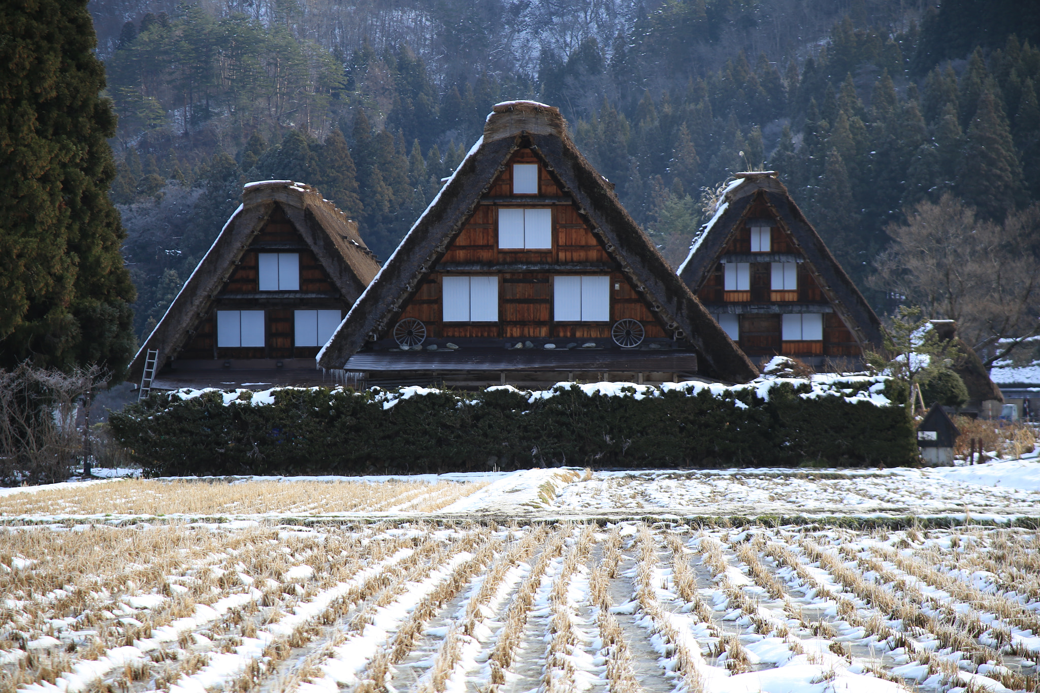 Canon EF 28-105mm f/3.5-4.5 USM sample photo. Welcome to shirakawago photography