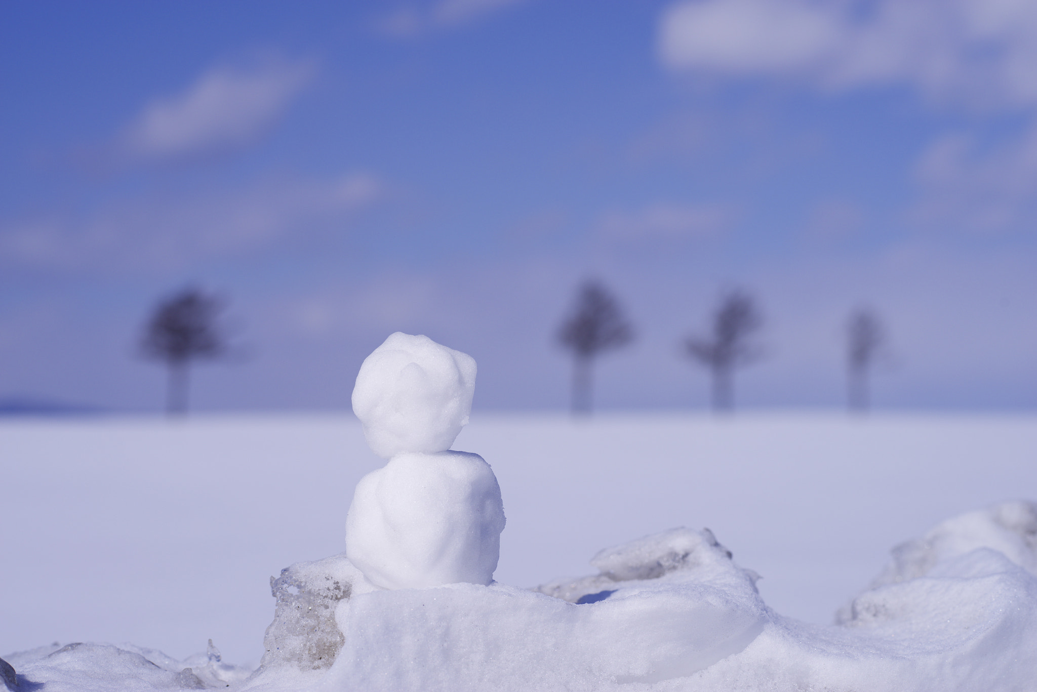 Pentax K-1 + Pentax smc FA 77mm 1.8 Limited sample photo. Snowman photography