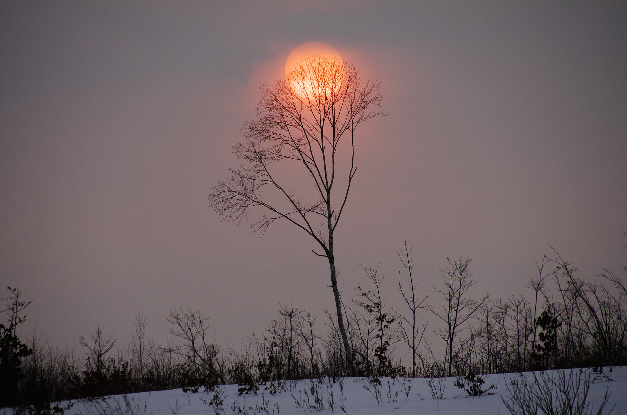 Sigma 18-250mm F3.5-6.3 DC Macro OS HSM sample photo. Sunrise photography