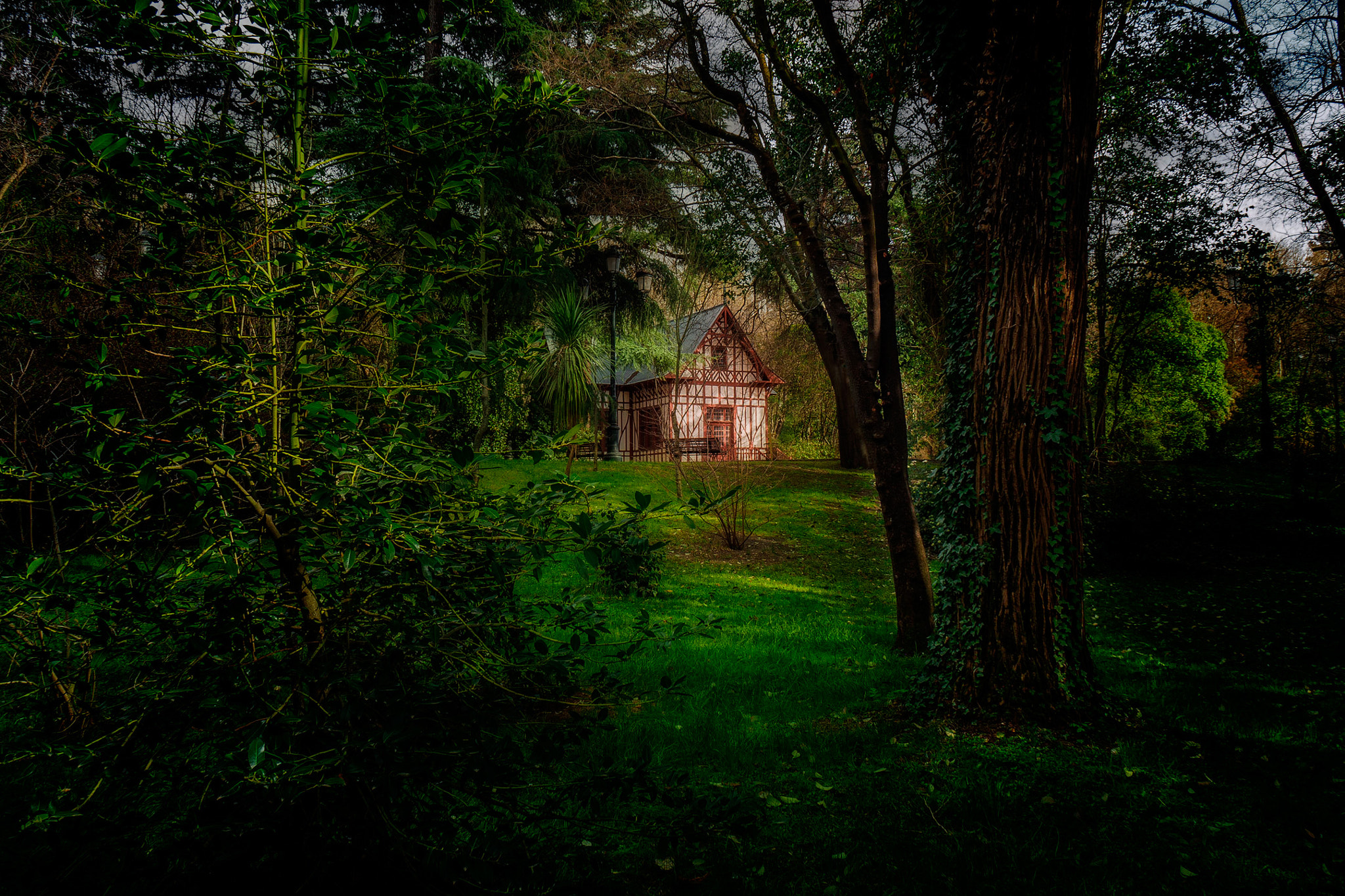 OLYMPUS M.14-150mm F4.0-5.6 II sample photo. Forest house photography