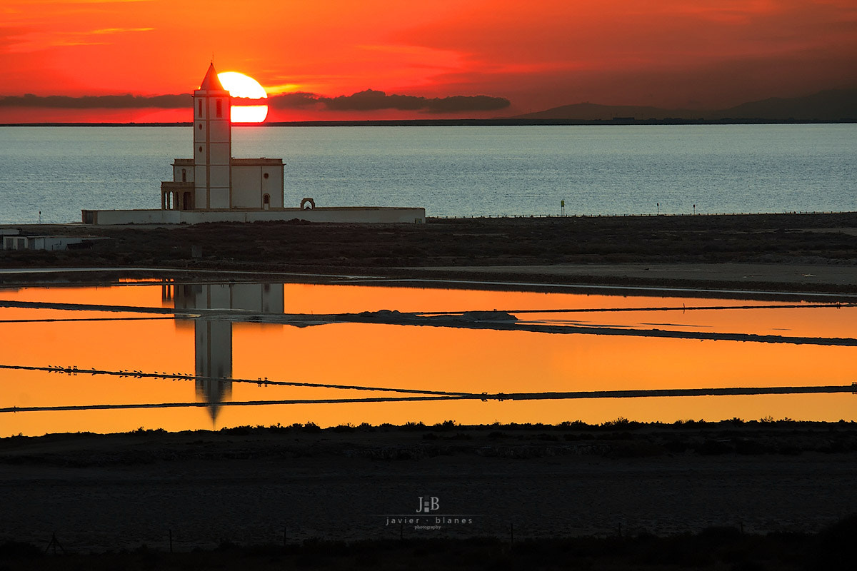 Canon EF-S 55-250mm F4-5.6 IS STM sample photo. Dreaming ... photography