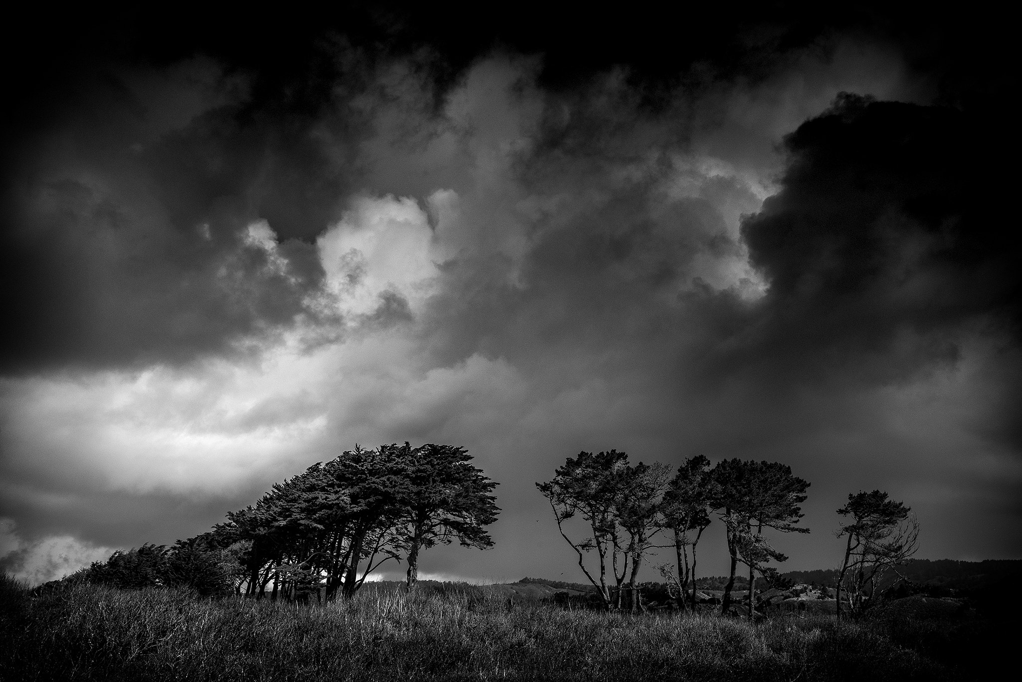 Nikon AF-S Nikkor 17-35mm F2.8D ED-IF sample photo. Cypress hill photography