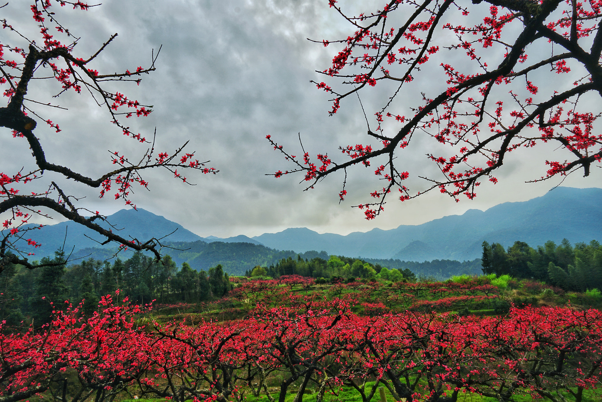 Sony a7R II + Sony Vario-Tessar T* FE 16-35mm F4 ZA OSS sample photo. Untitled photography