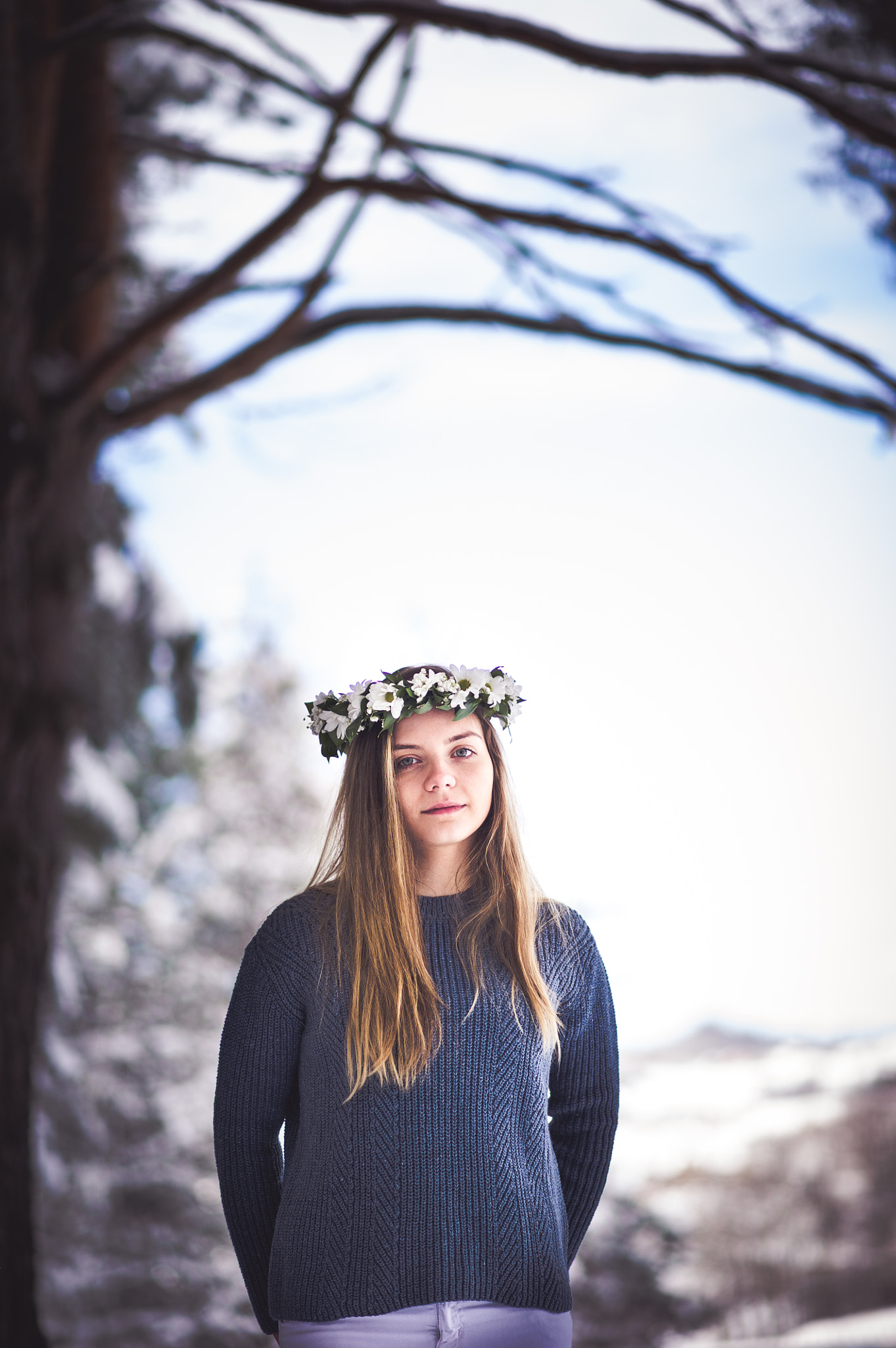 Nikon D3S + Nikon AF-S Nikkor 85mm F1.8G sample photo. Winter flower photography