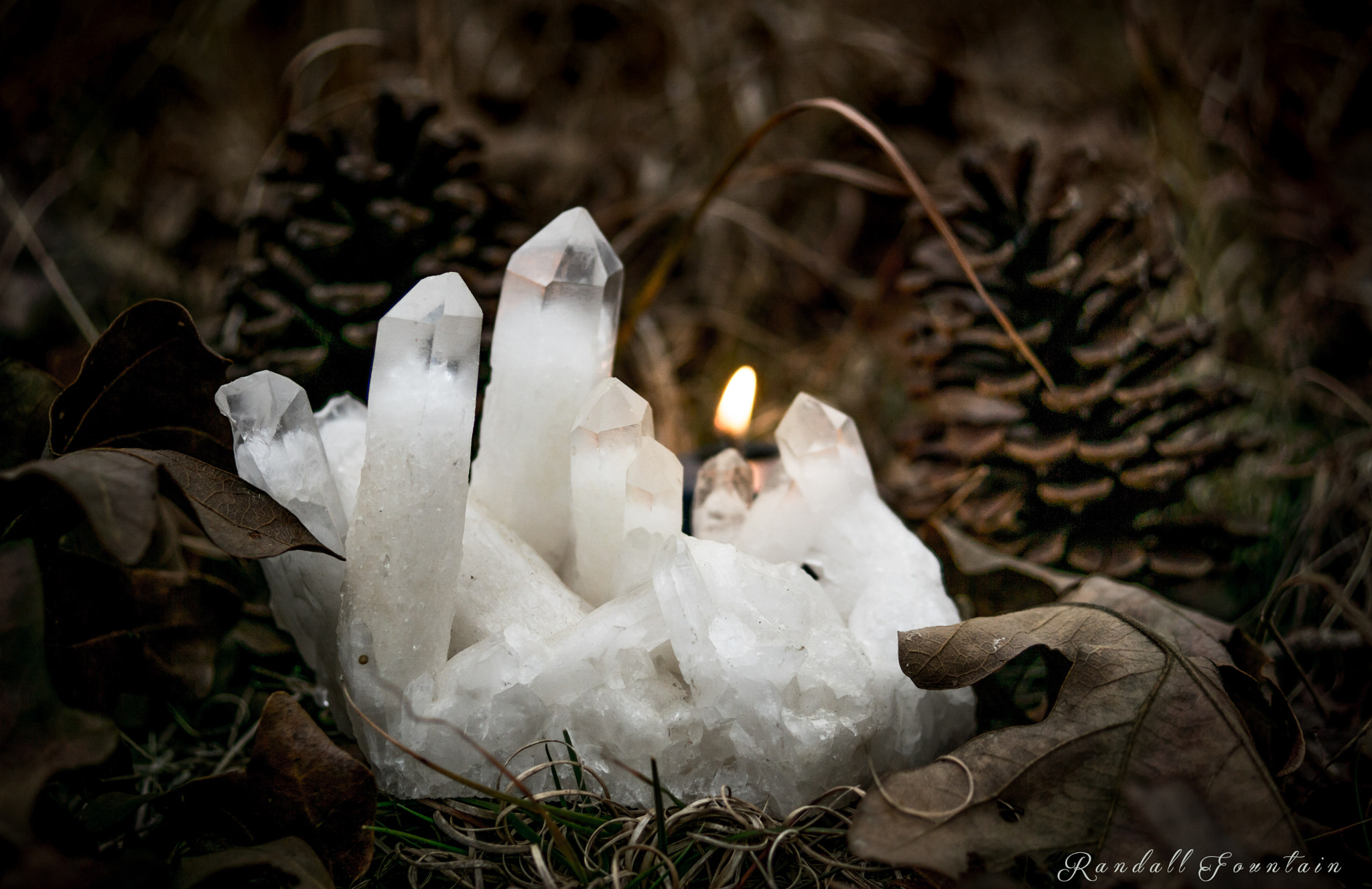 Sony DT 30mm F2.8 Macro SAM sample photo. Tuning into yourself photography