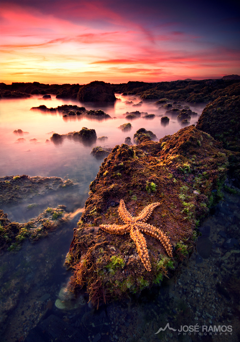 Sigma AF 10-20mm F4-5.6 EX DC sample photo. Fallen star ii photography