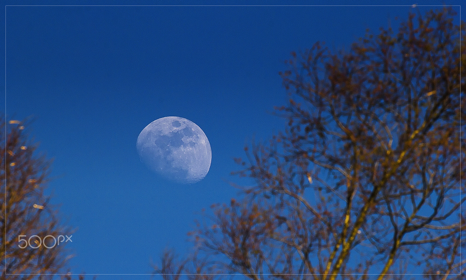 Canon EOS 60D + Canon EF 100-400mm F4.5-5.6L IS USM sample photo. The moon in the afternoon - la luna del pomeriggio photography