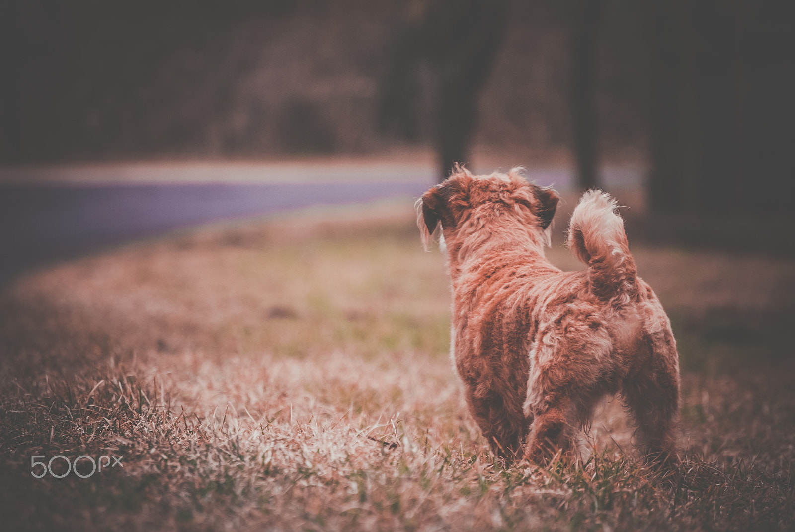 Nikon D60 sample photo. Looking for adventure photography