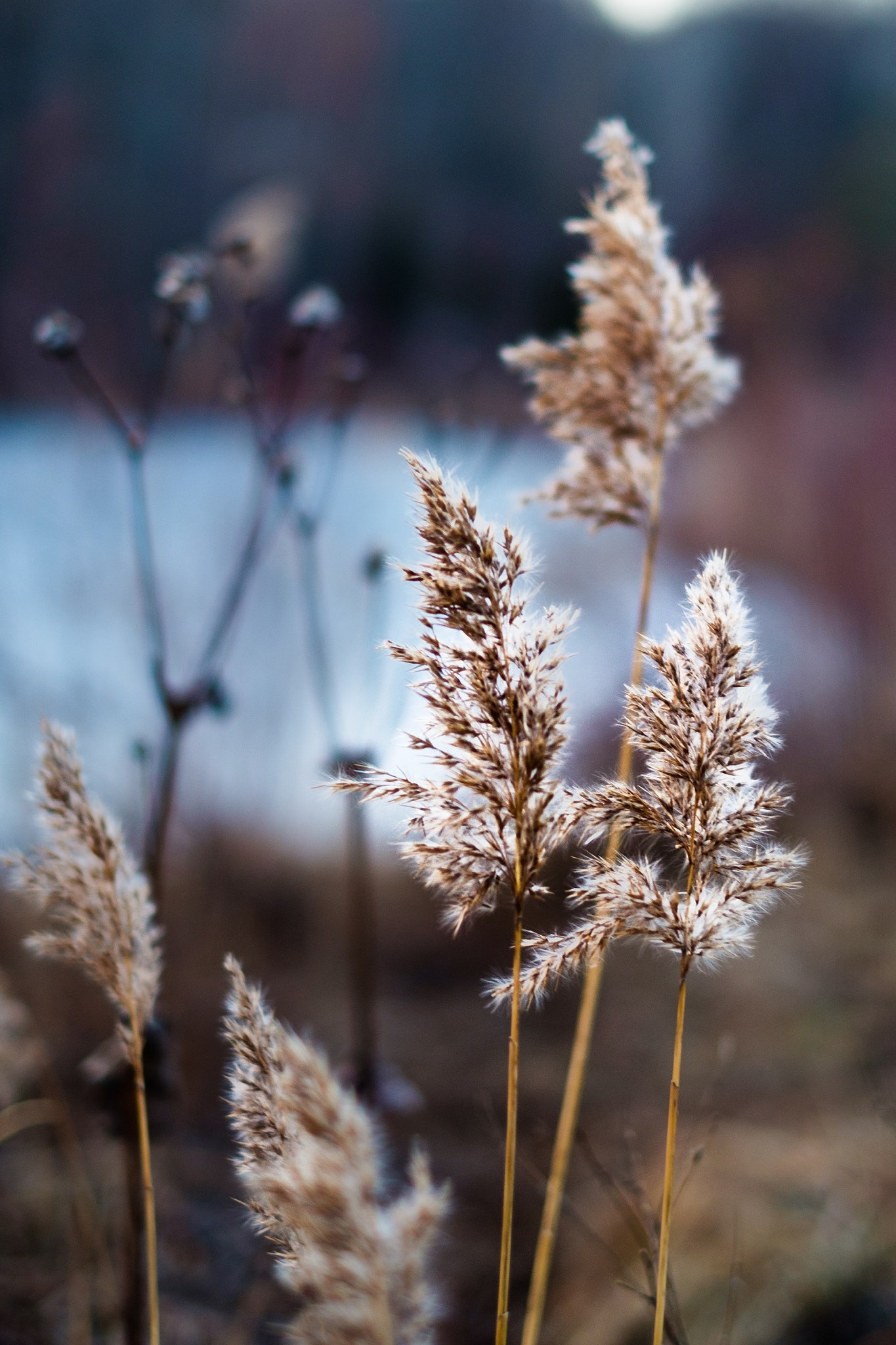 Fujifilm X-T2 sample photo. Life photography