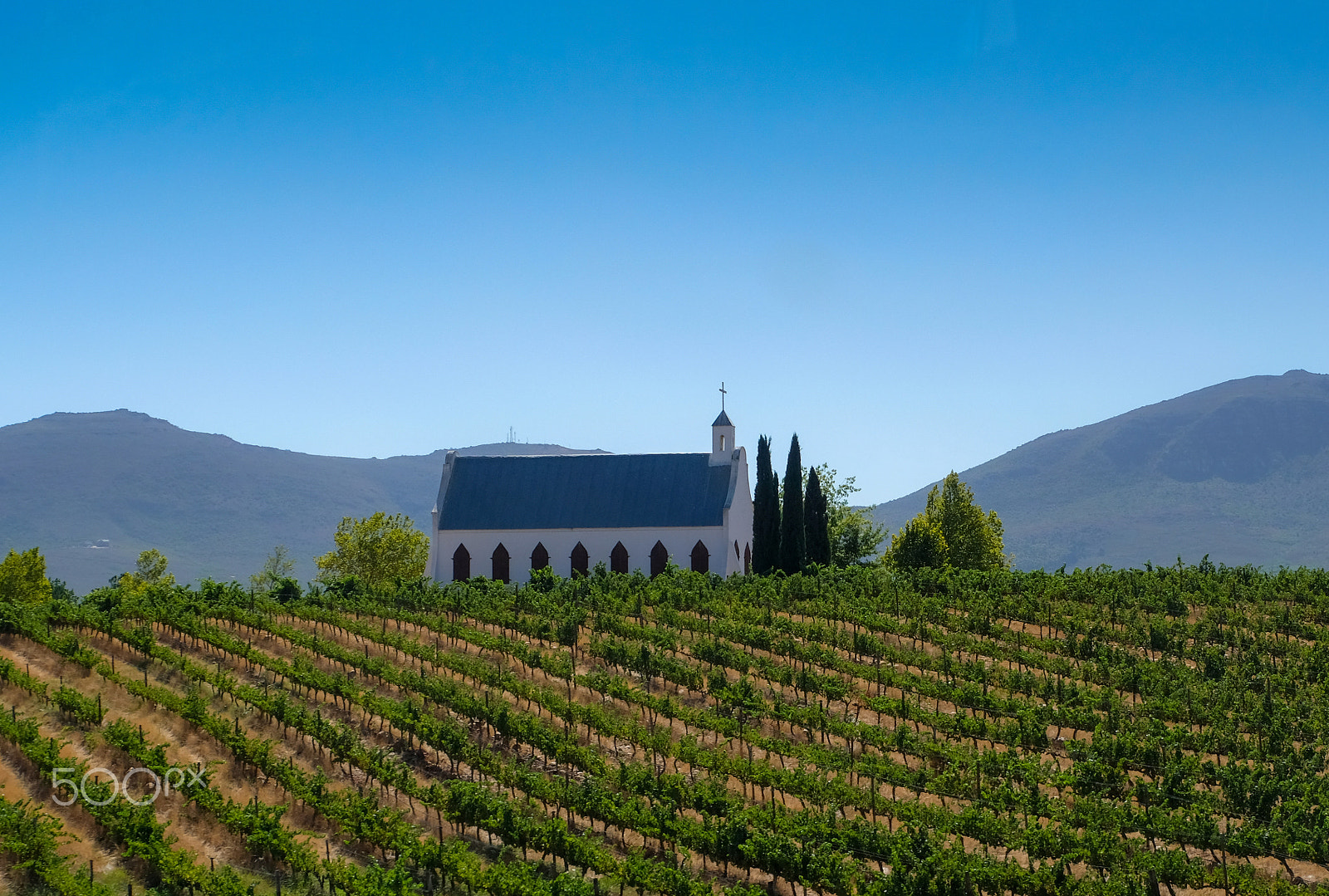 Fujifilm X-T2 + Fujifilm XF 18-135mm F3.5-5.6 R LM OIS WR sample photo. Church & wine photography